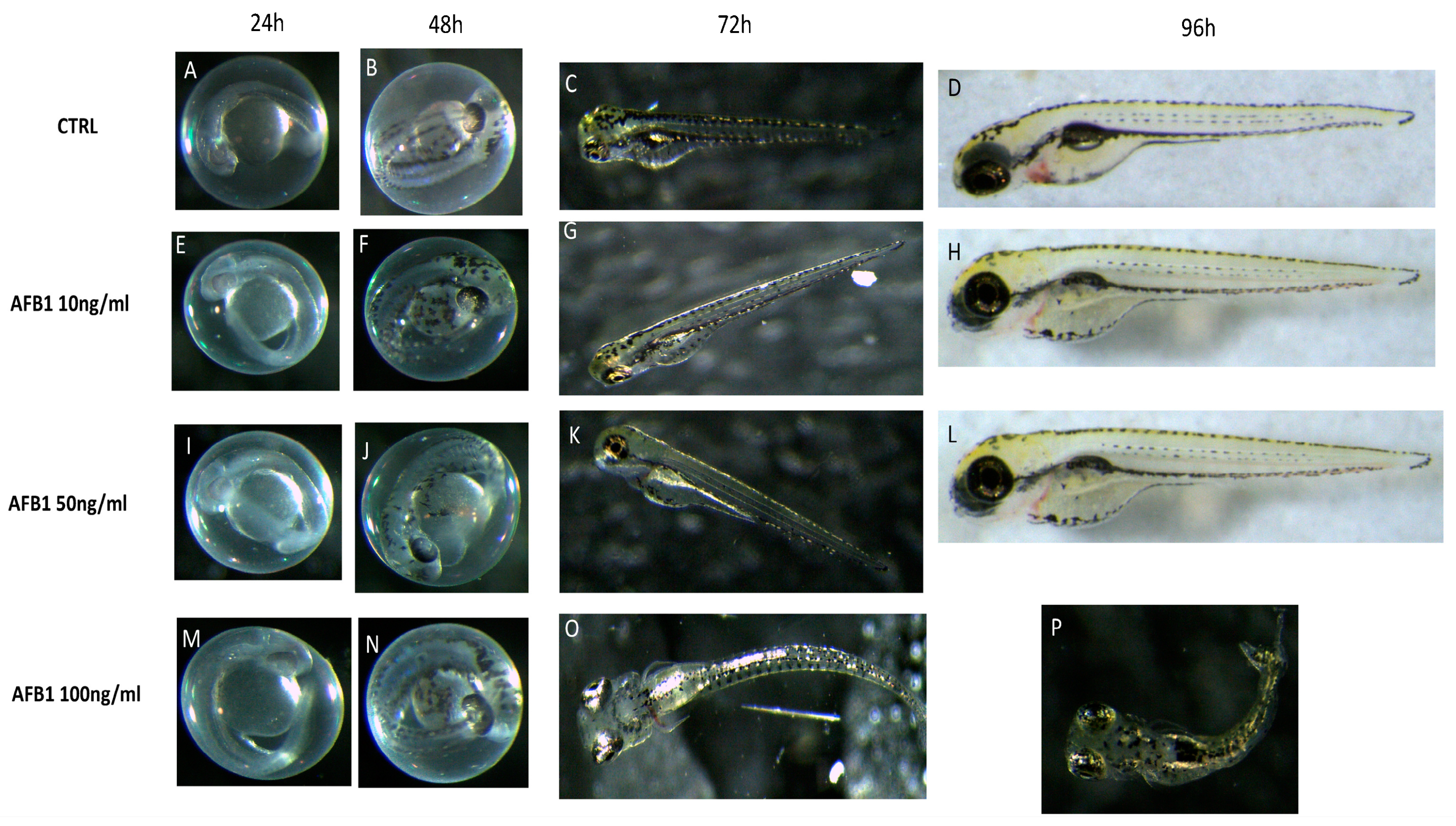 Toxins 13 00710 g001