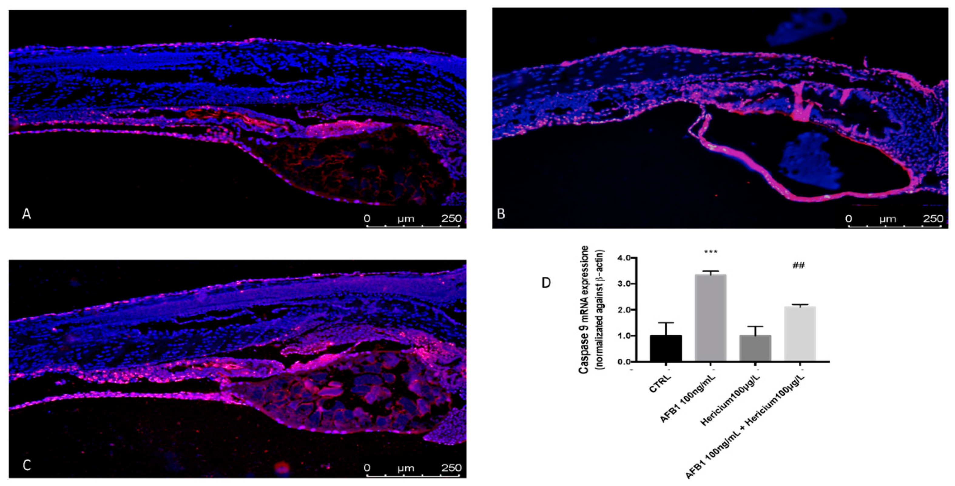Toxins 13 00710 g004