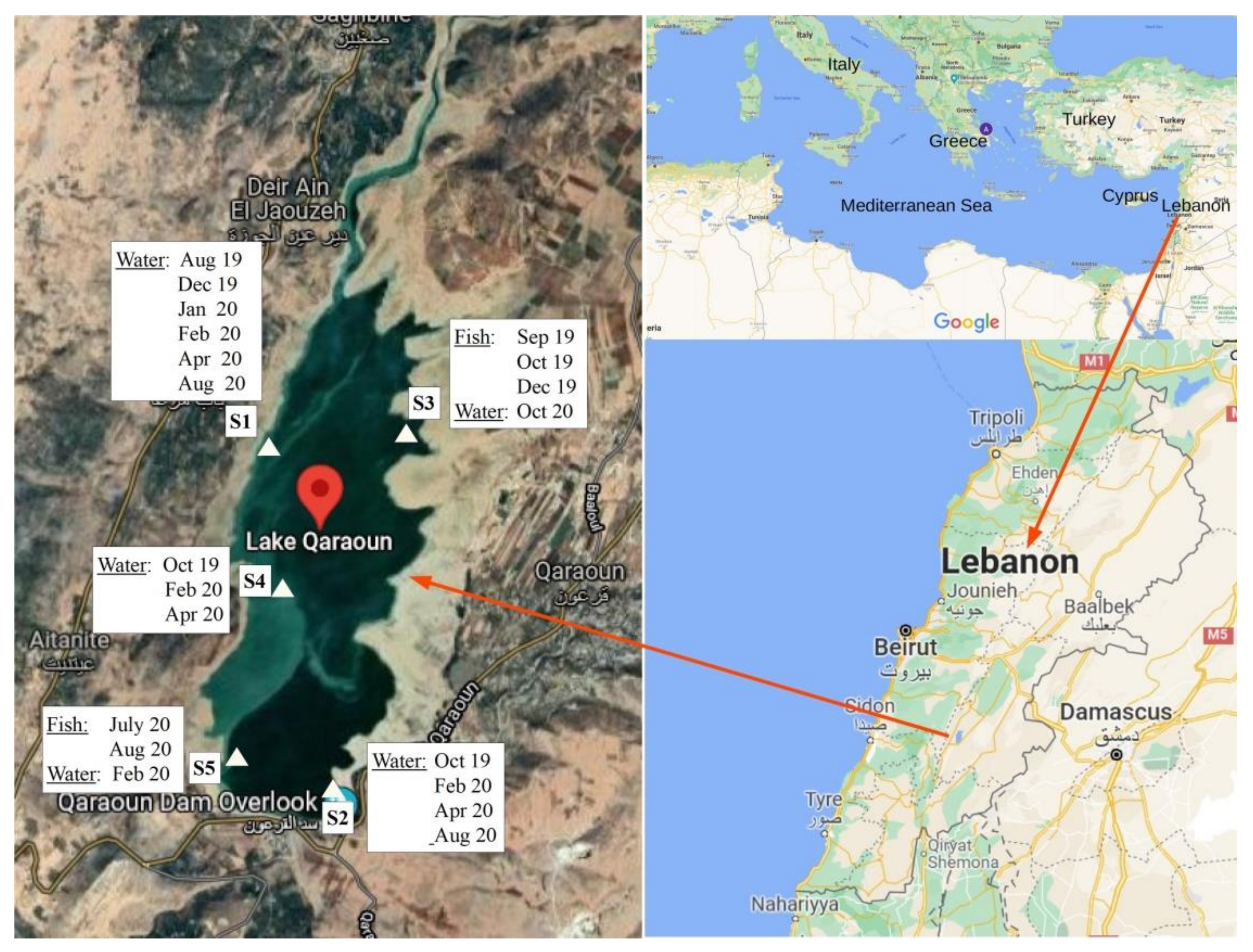Toxins 13 00716 g004