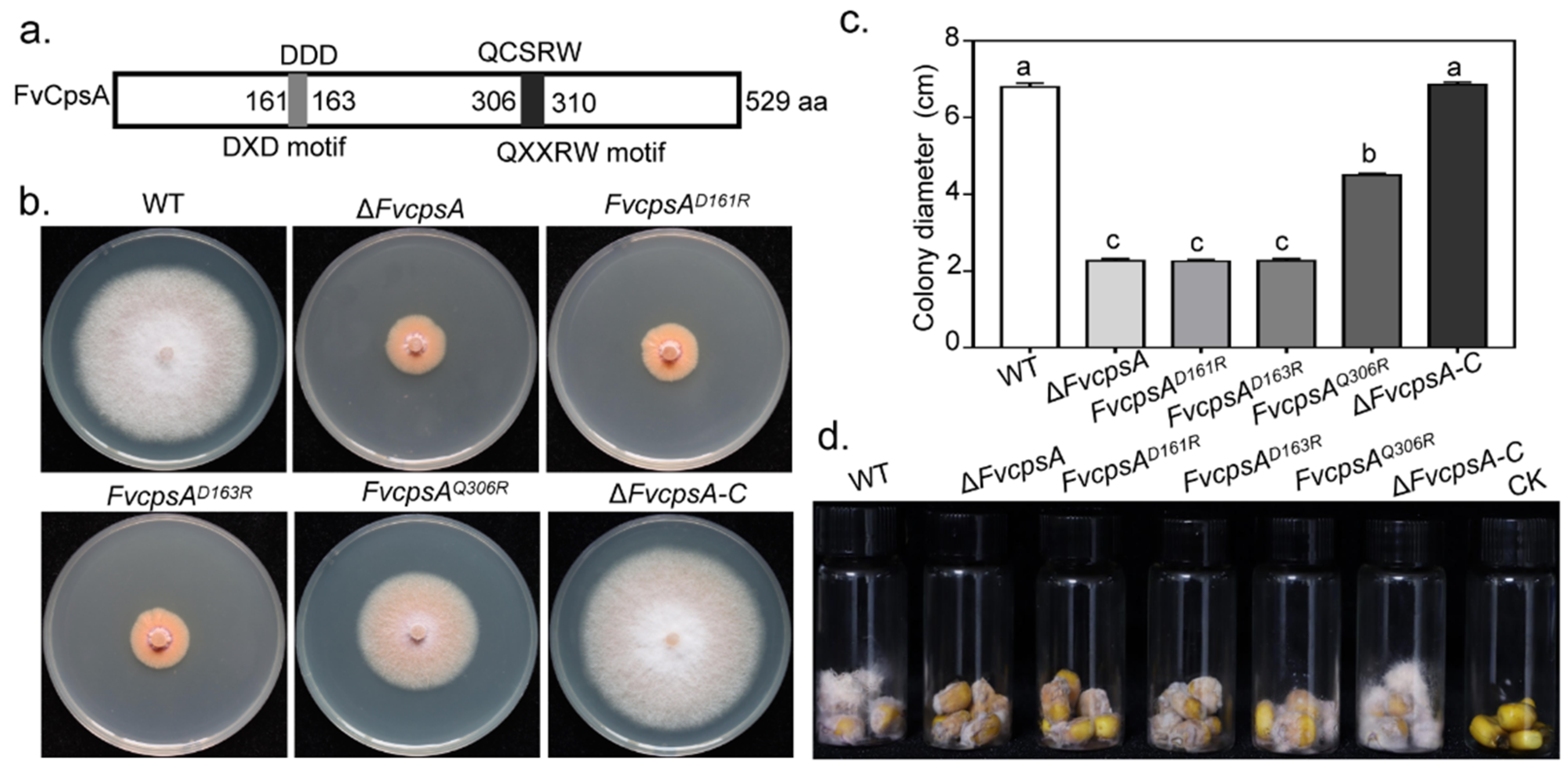 Toxins 13 00718 g006