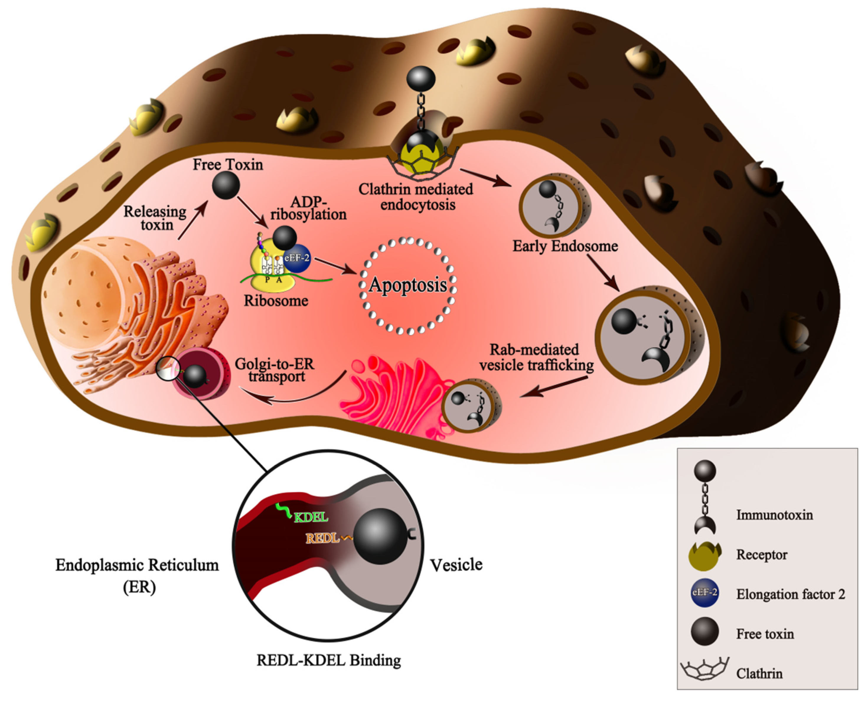 Toxins 13 00719 g001