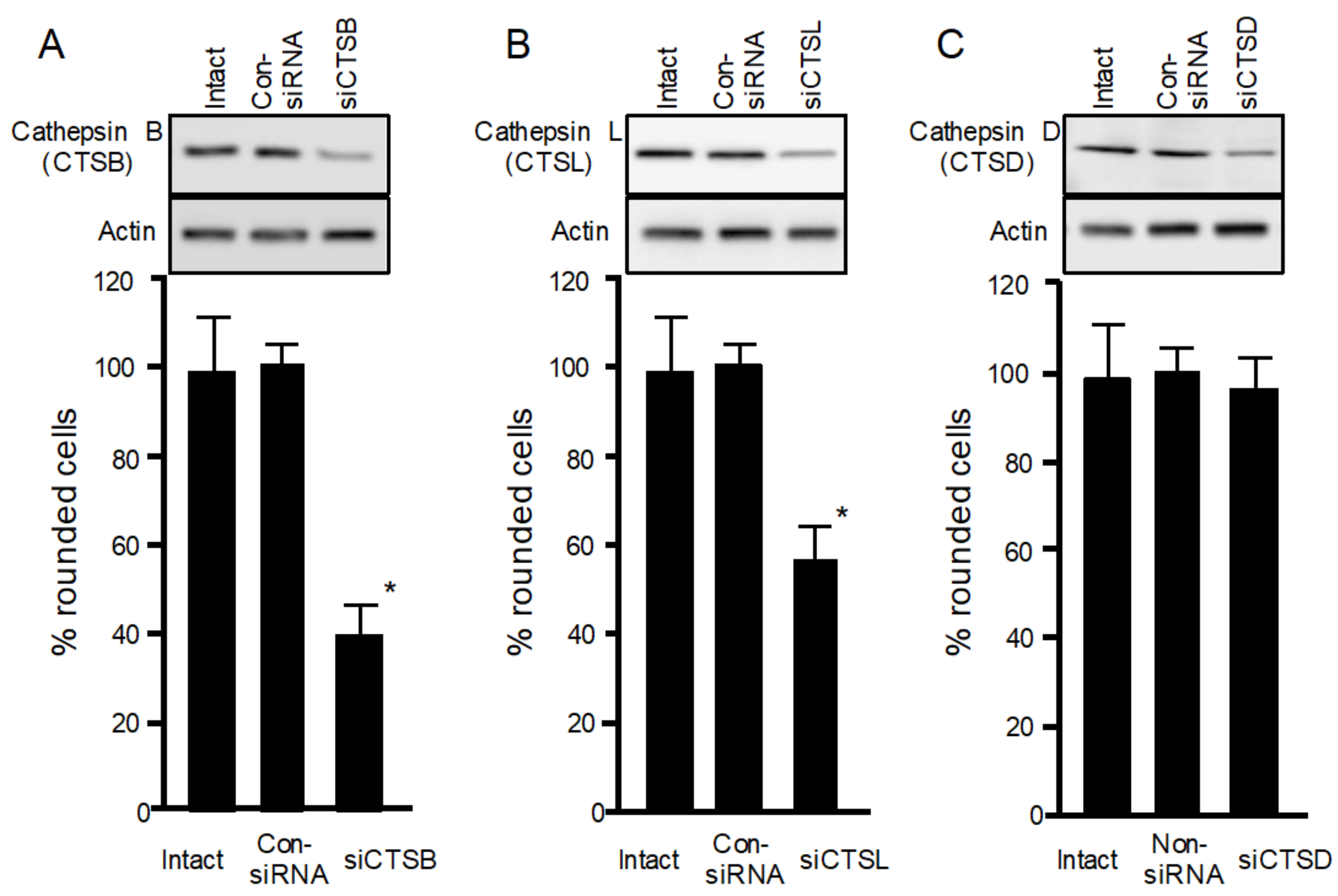 Toxins 13 00721 g003