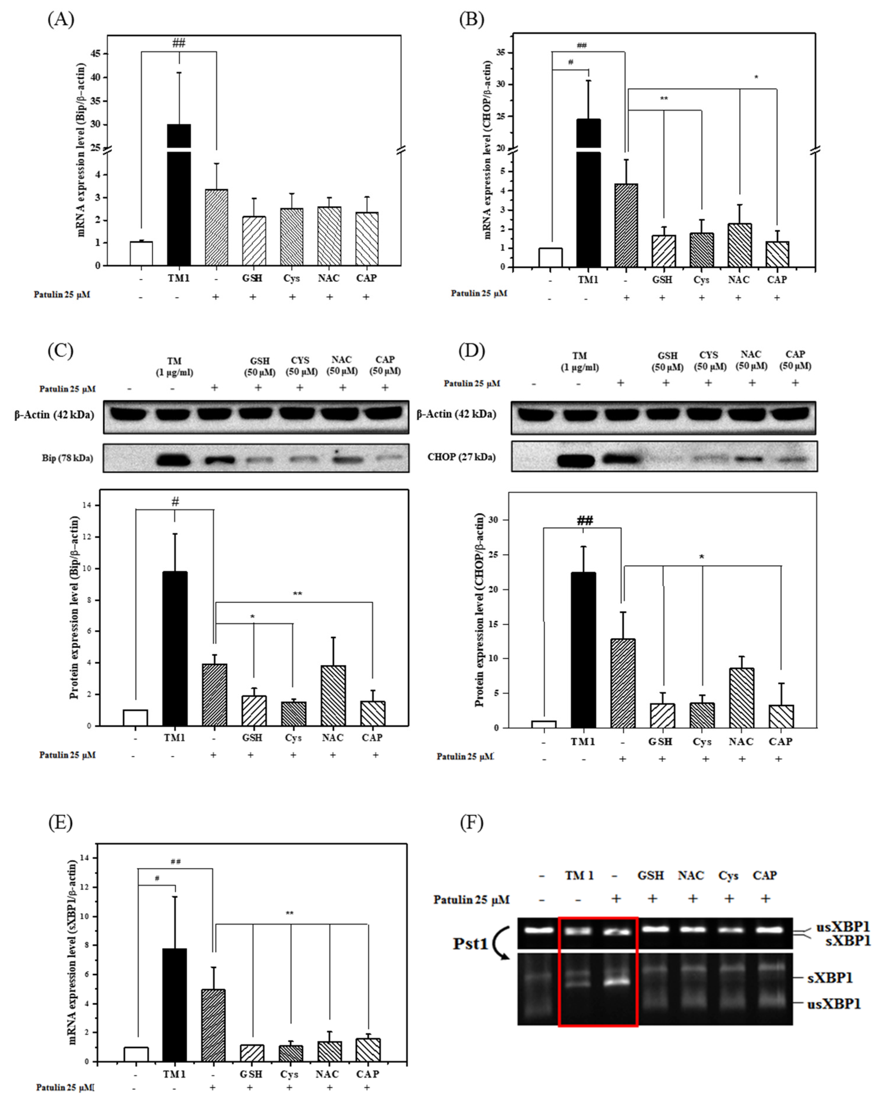 Toxins 13 00727 g005