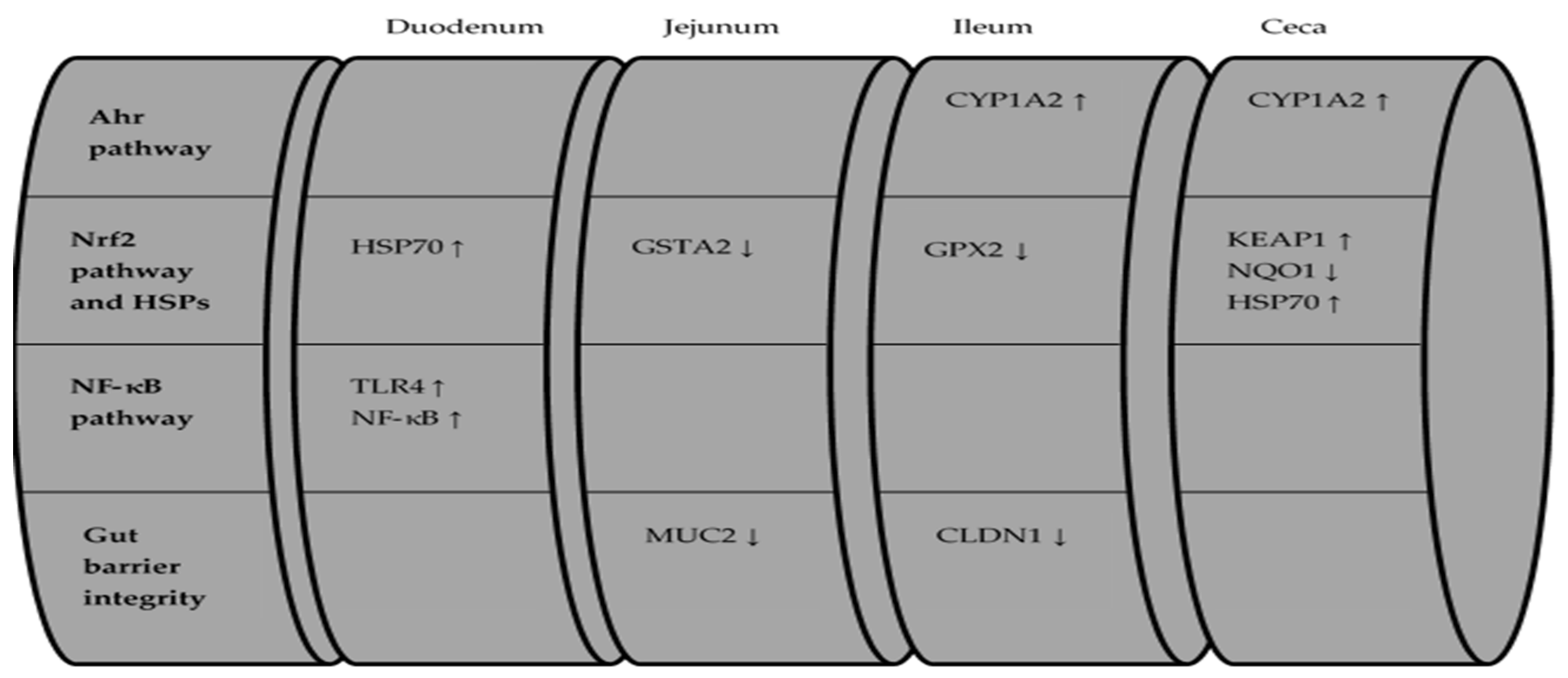 Toxins 13 00729 g002