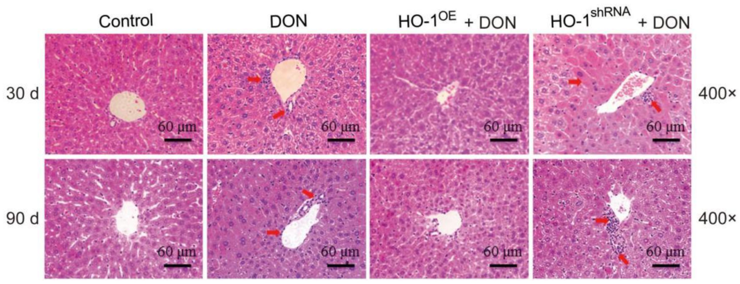 Toxins 13 00732 g001