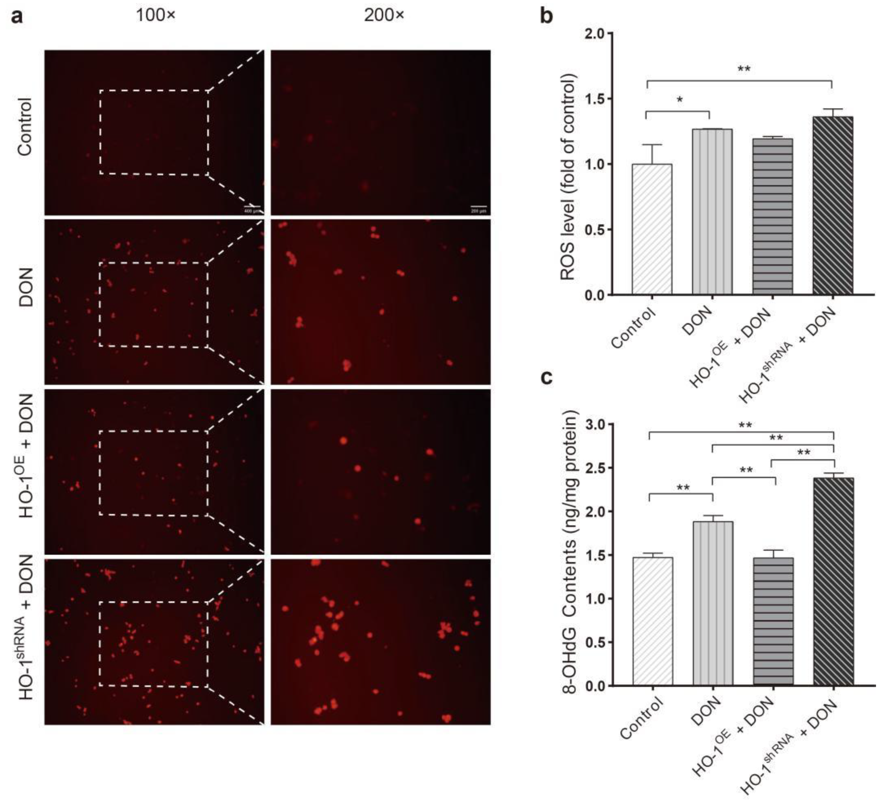 Toxins 13 00732 g003