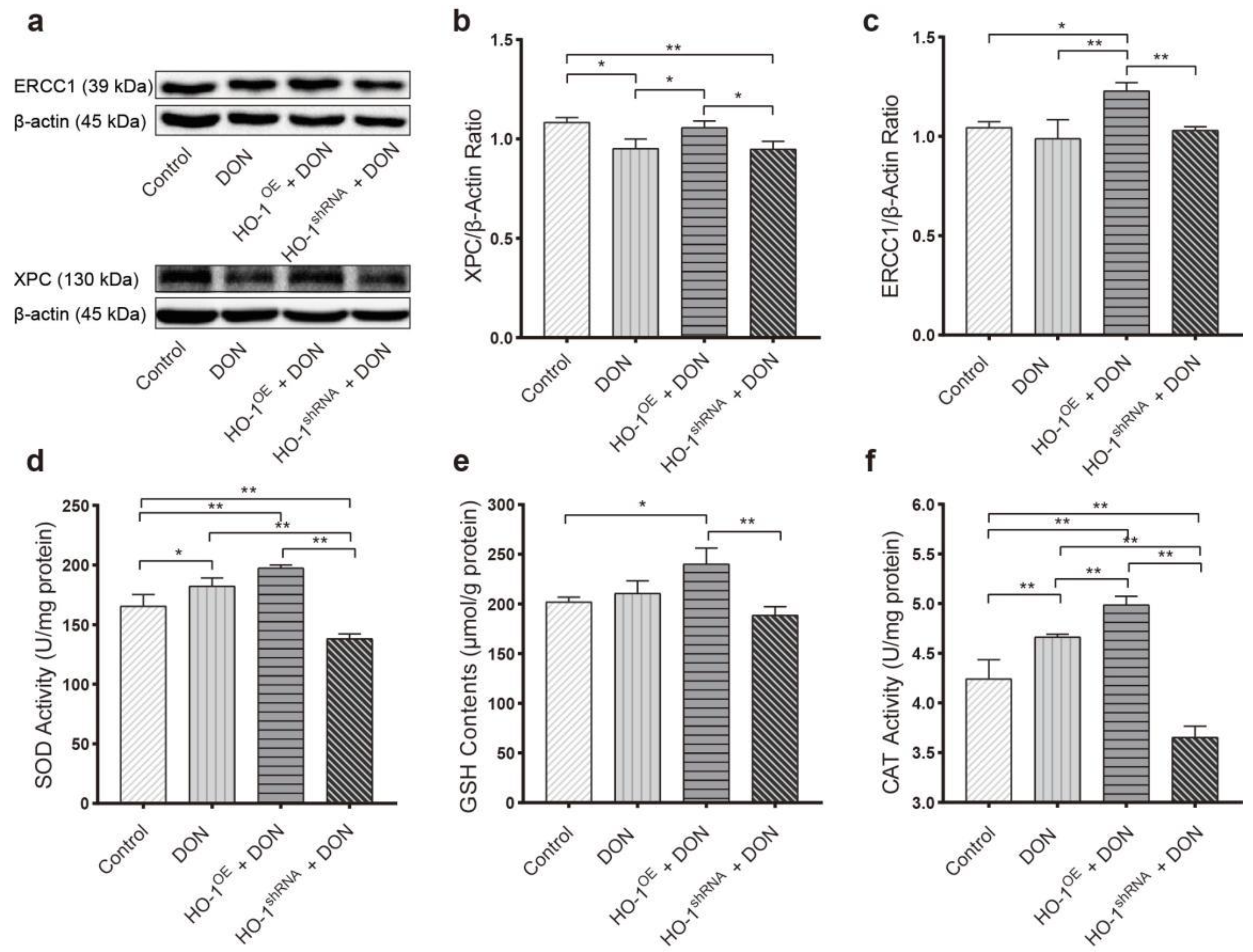 Toxins 13 00732 g006