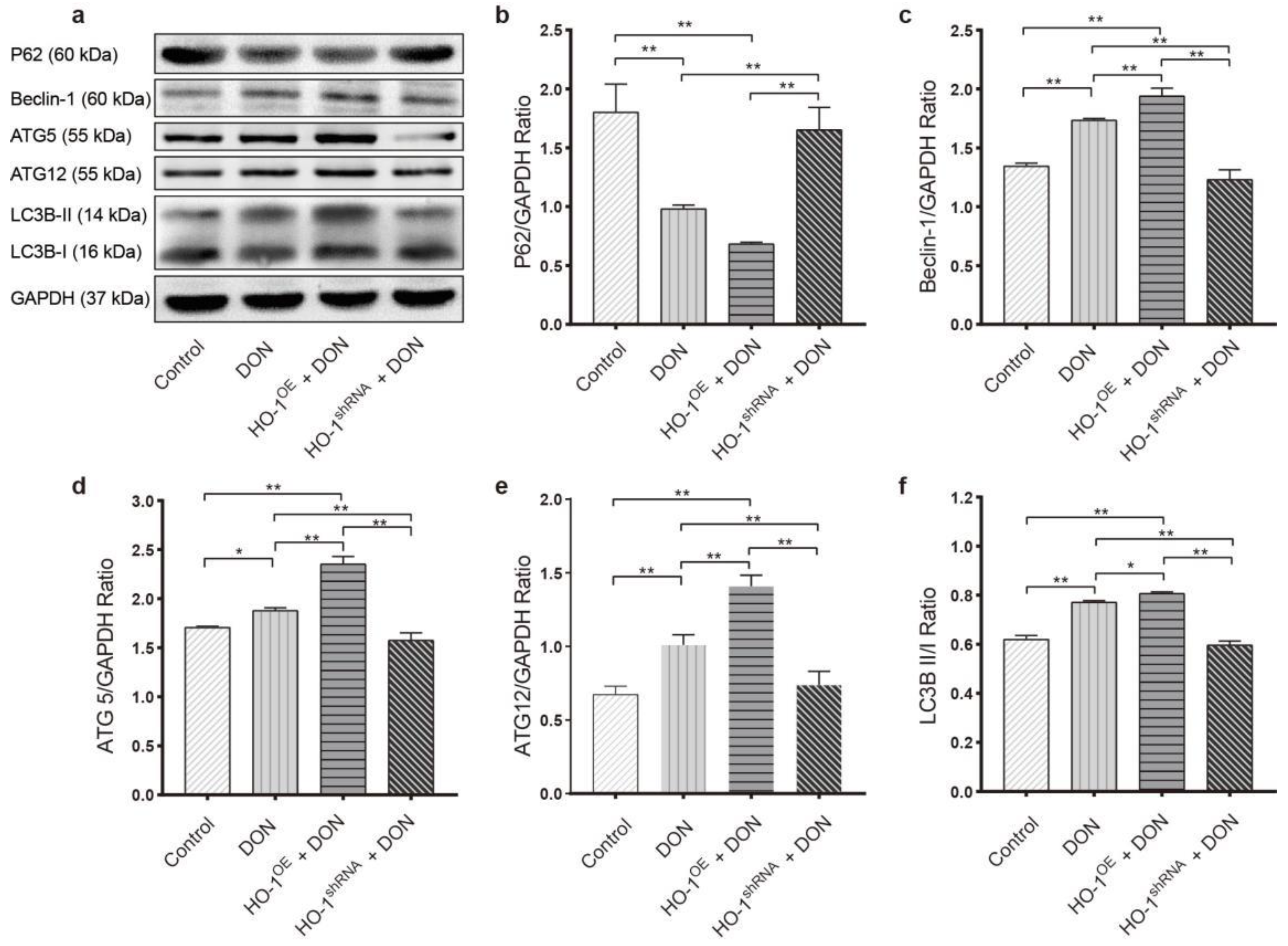 Toxins 13 00732 g007
