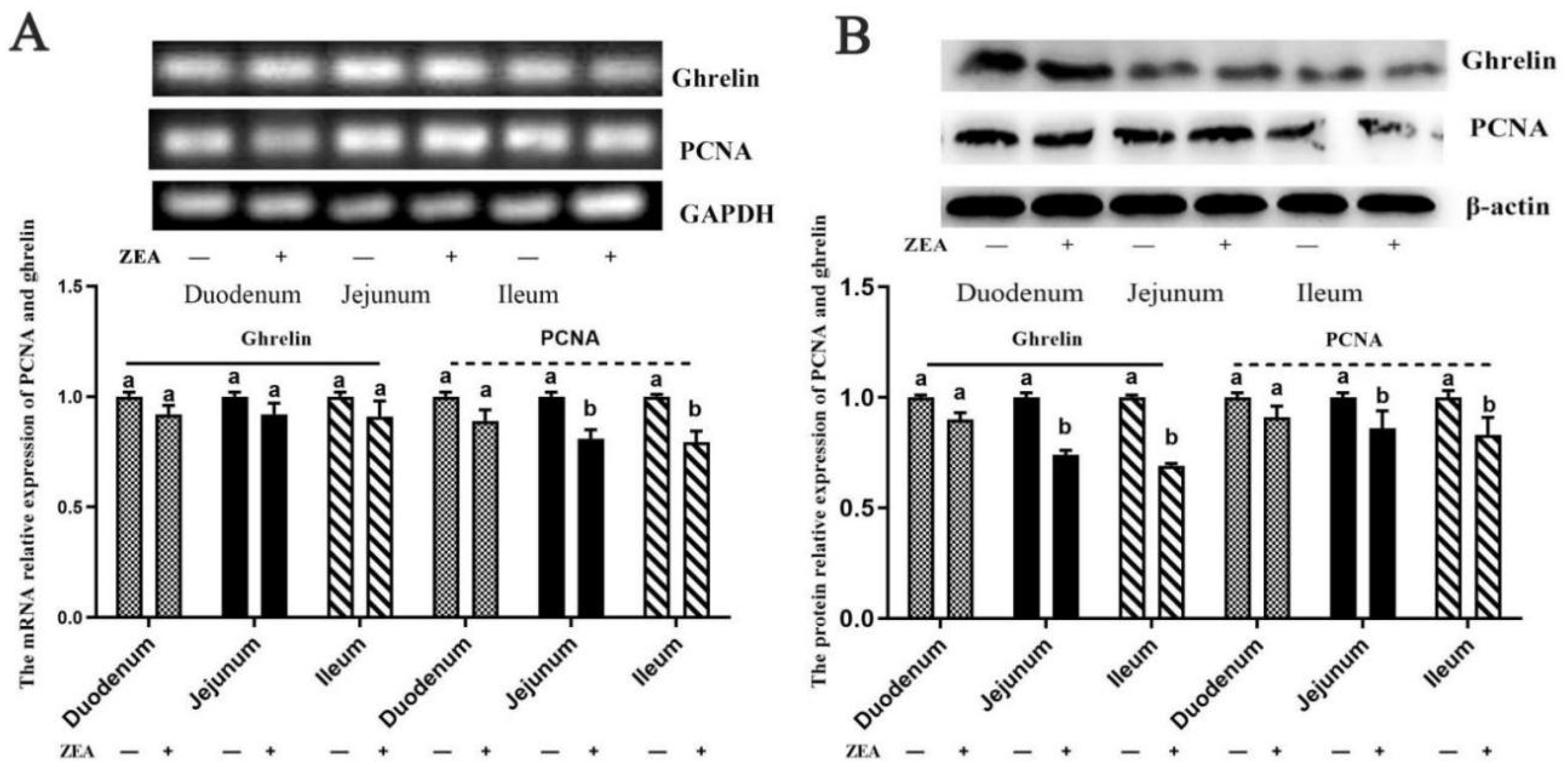 Toxins 13 00736 g005