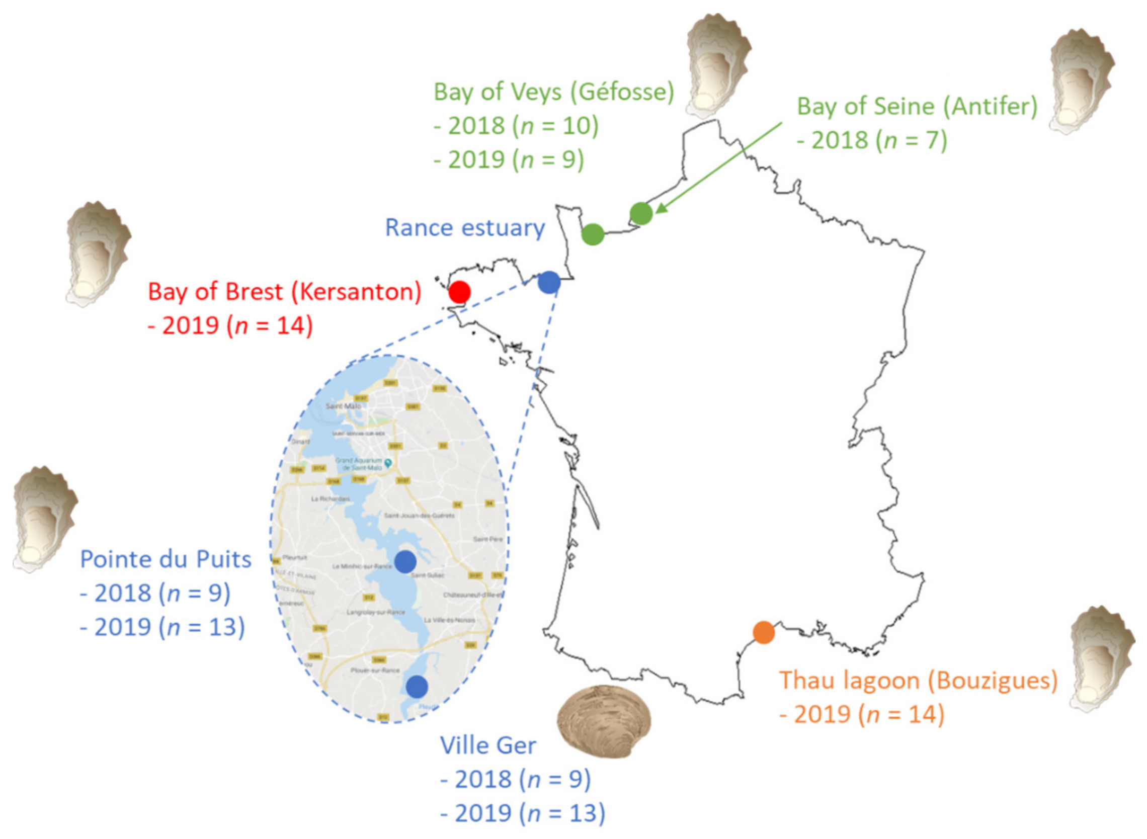 Toxins 13 00740 g006