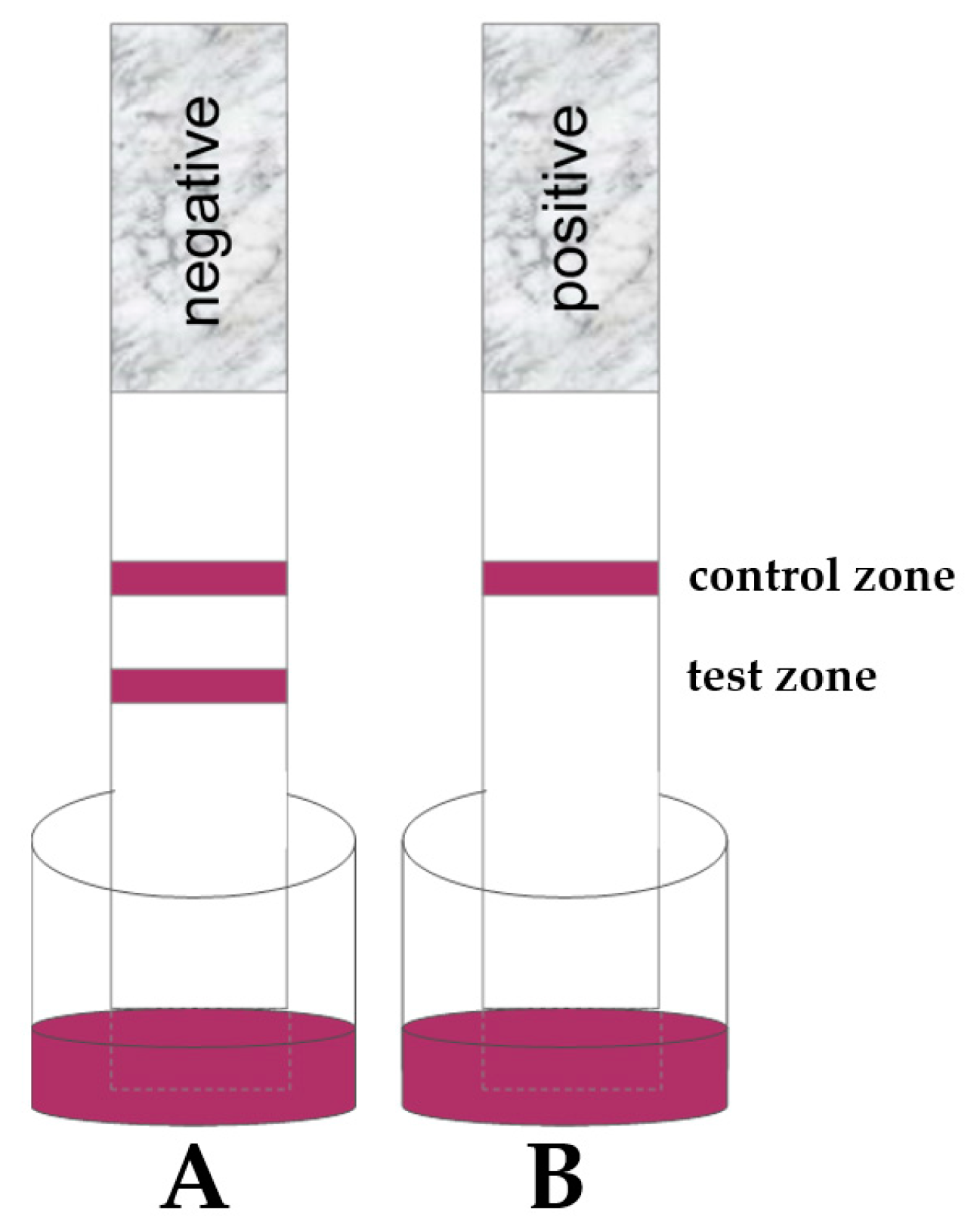 Toxins 13 00742 g003