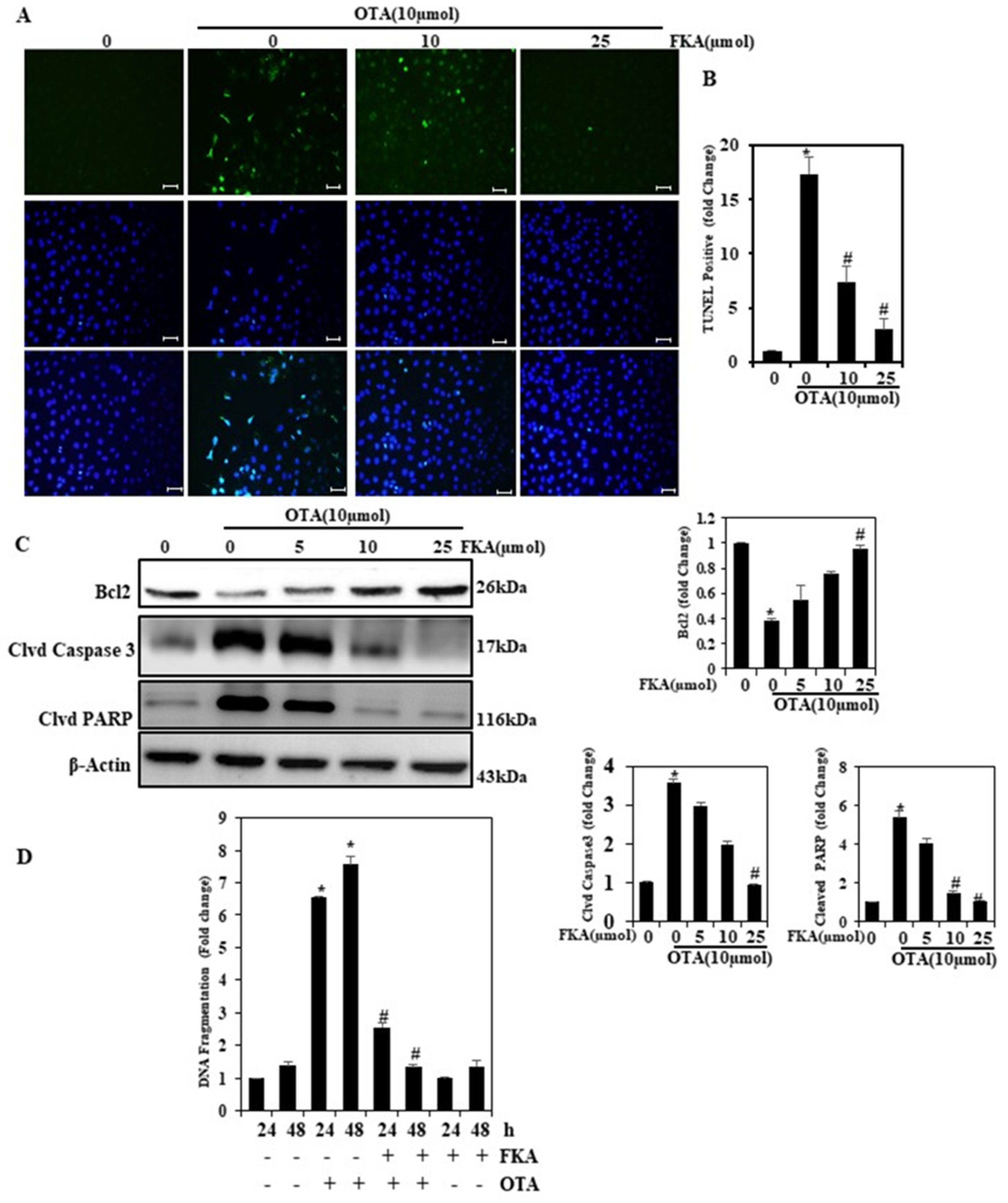 Toxins 13 00745 g003