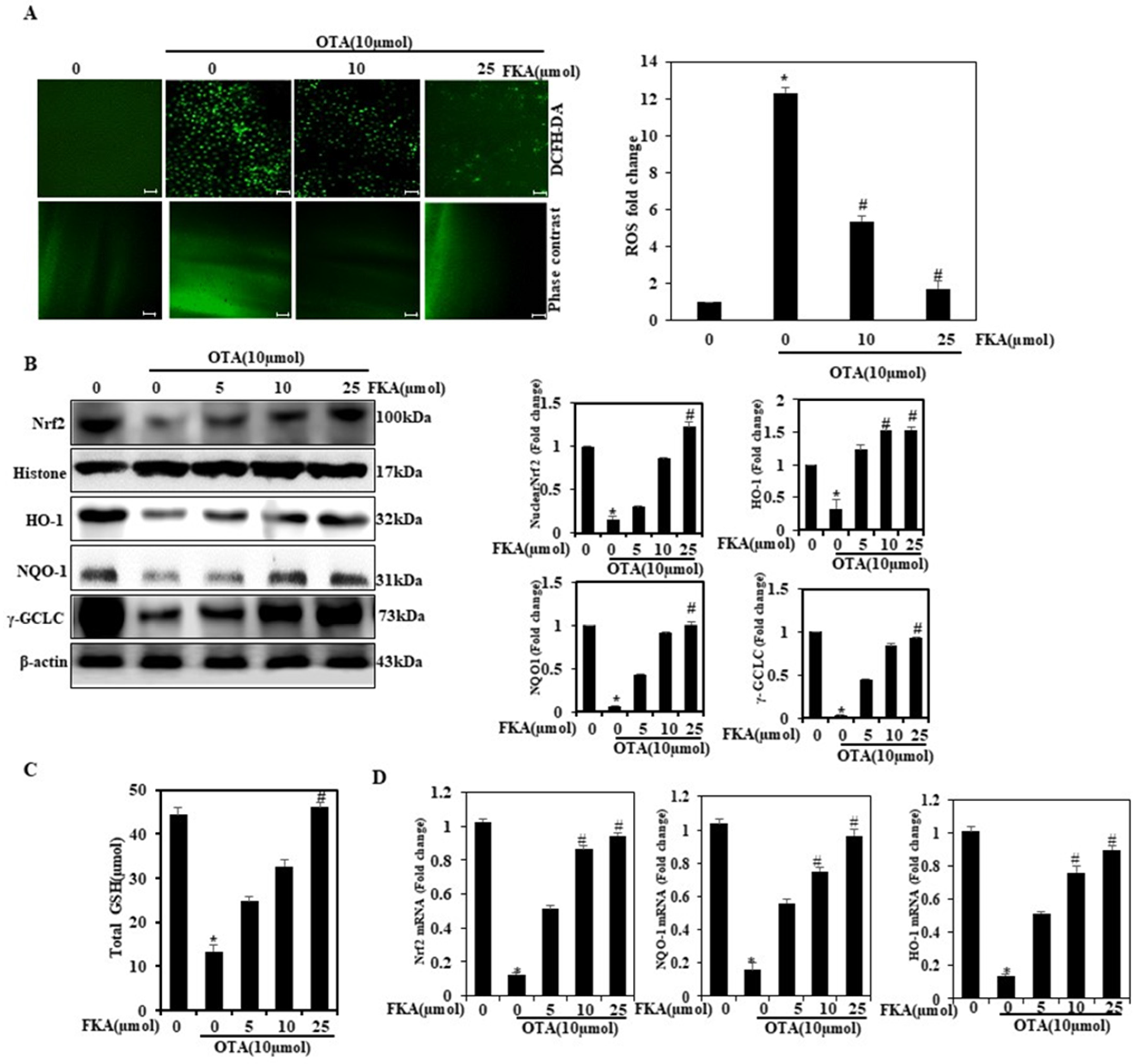 Toxins 13 00745 g004
