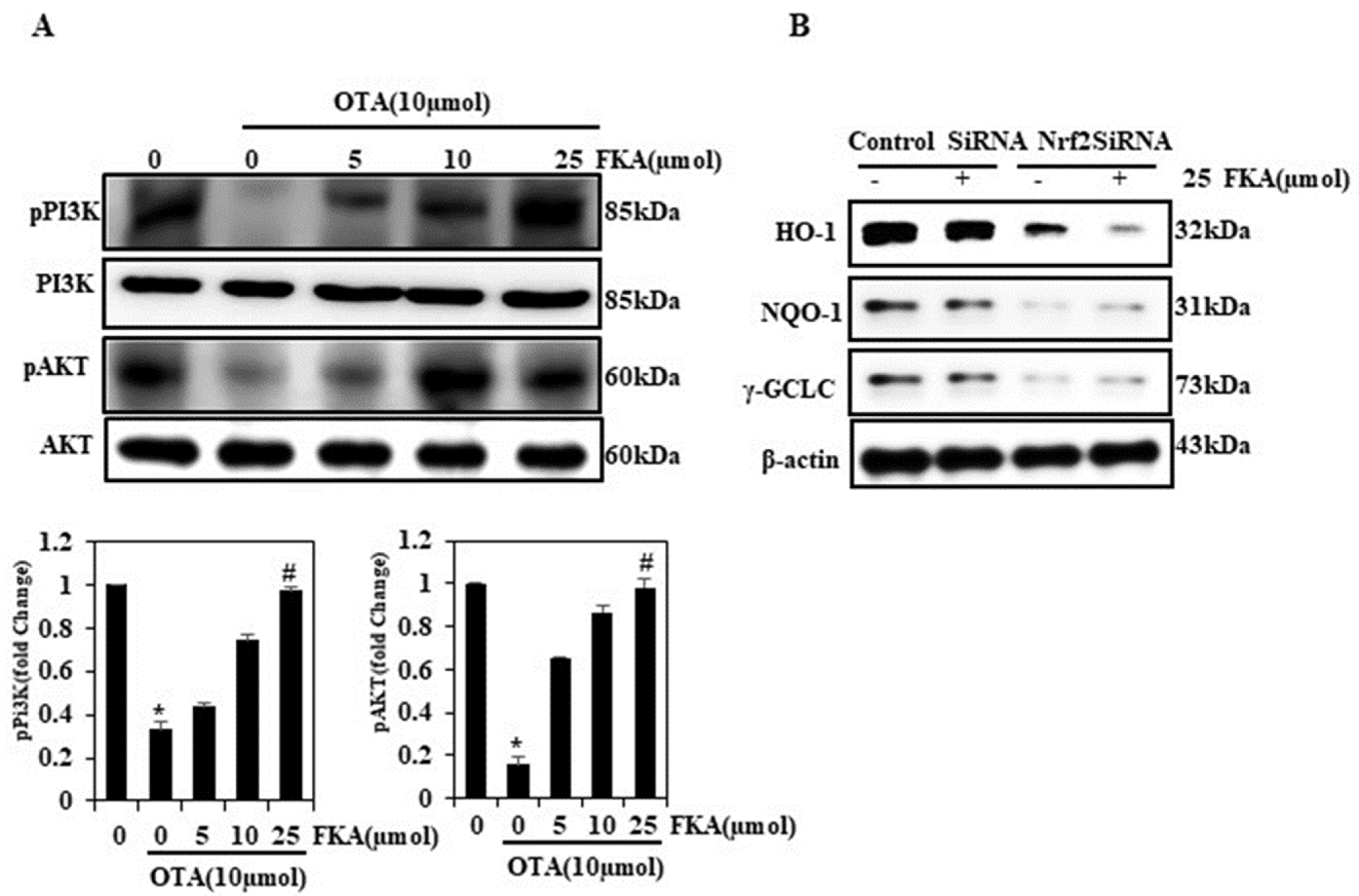 Toxins 13 00745 g005
