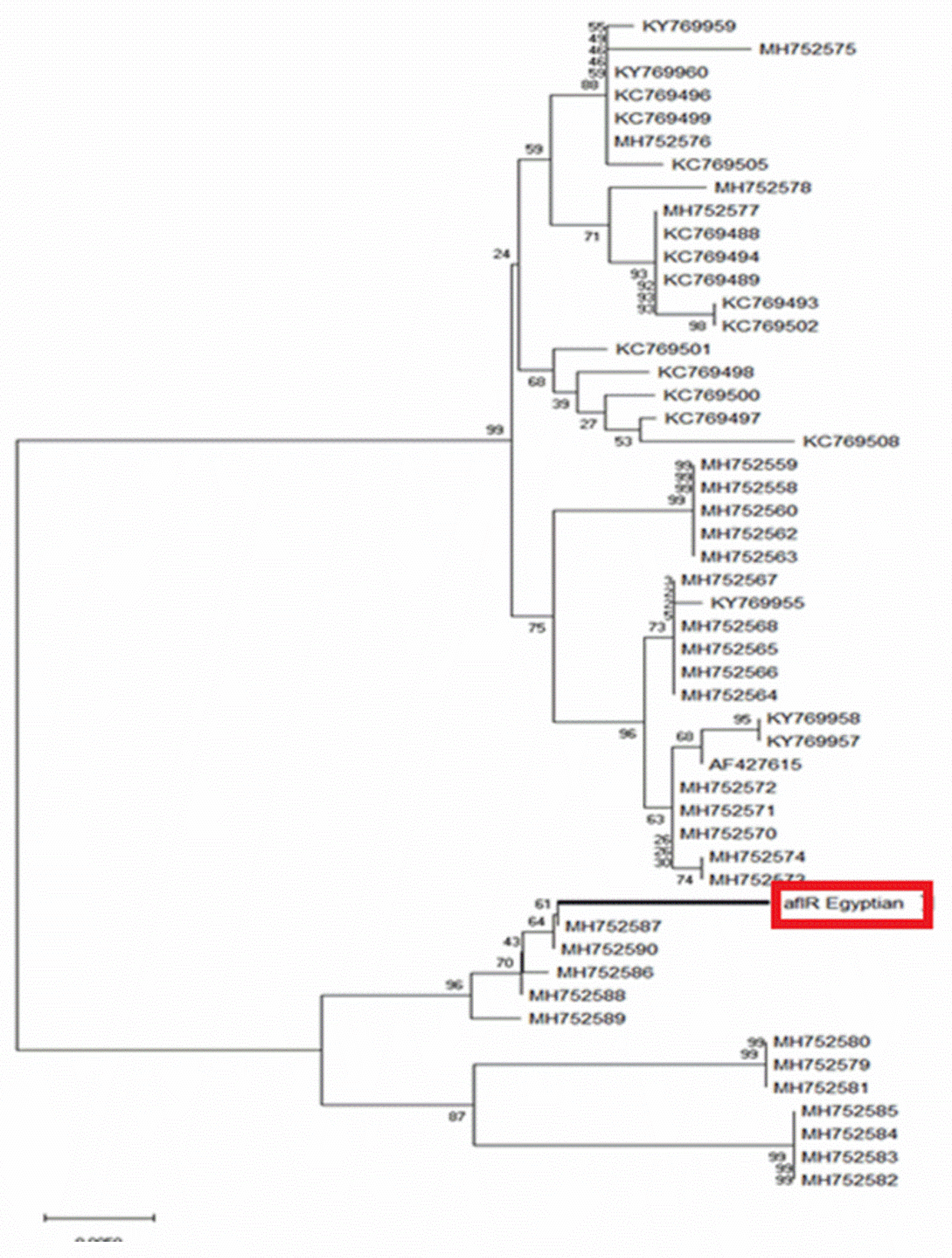 Toxins 13 00747 g002
