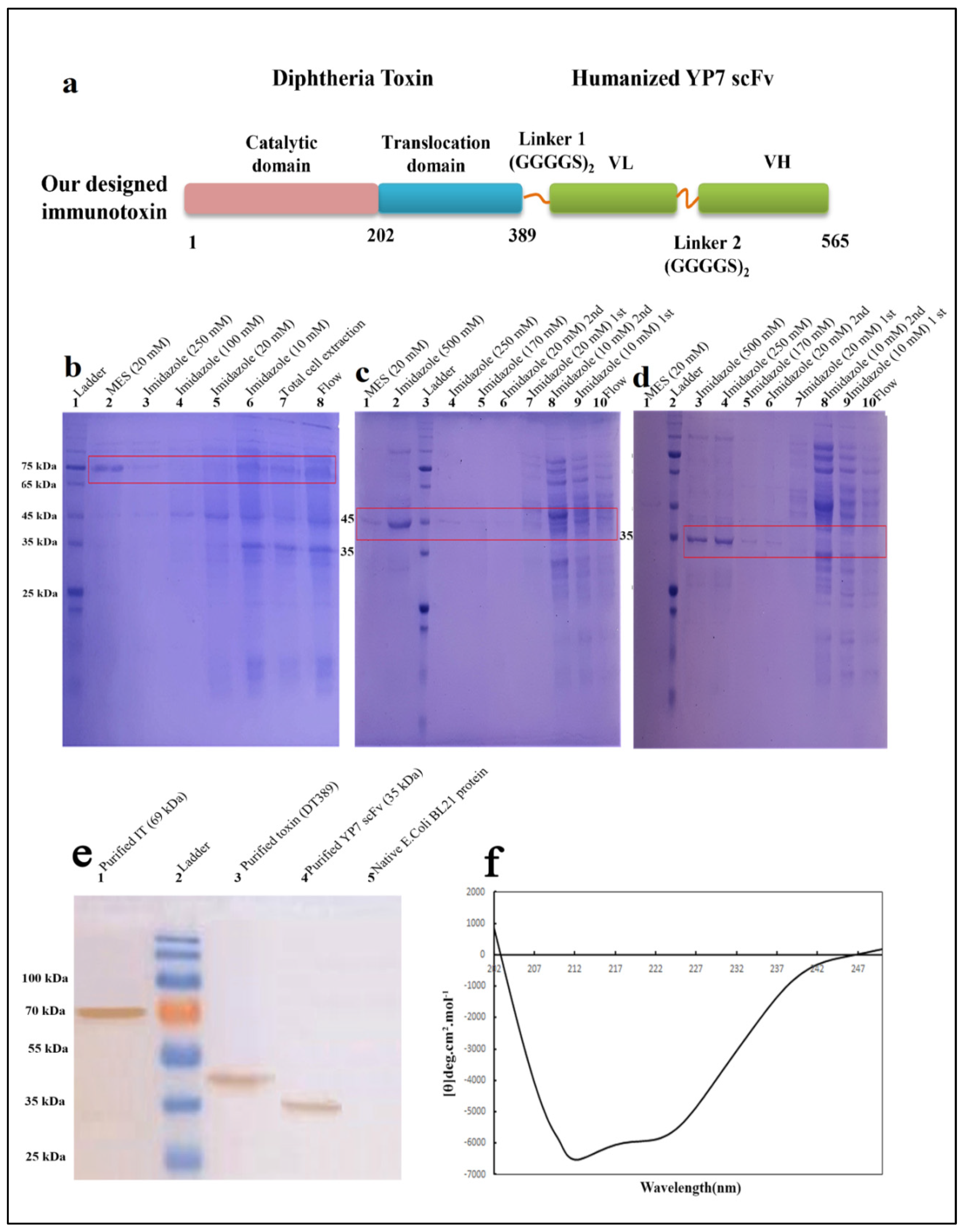 Toxins 13 00749 g001