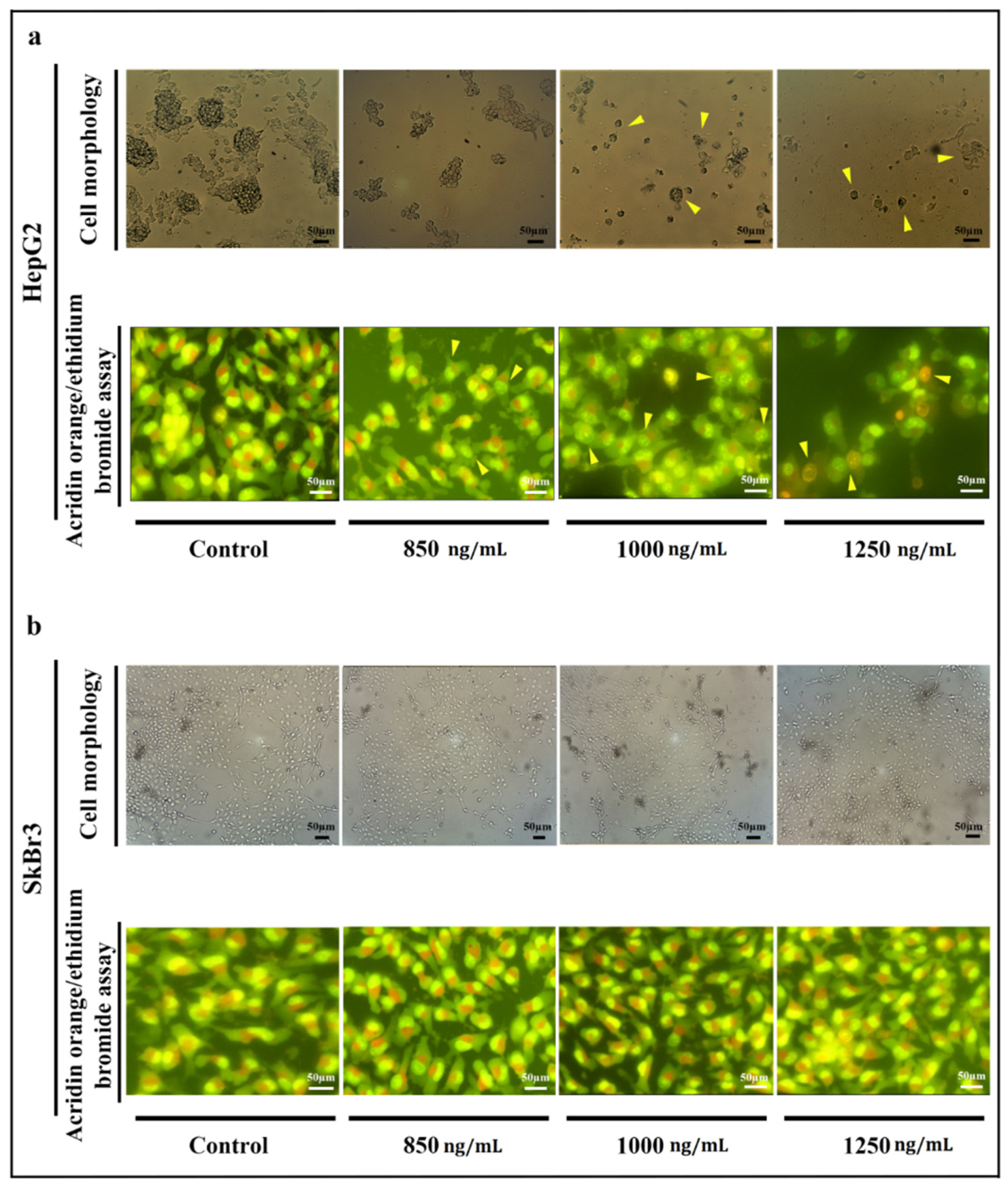 Toxins 13 00749 g003
