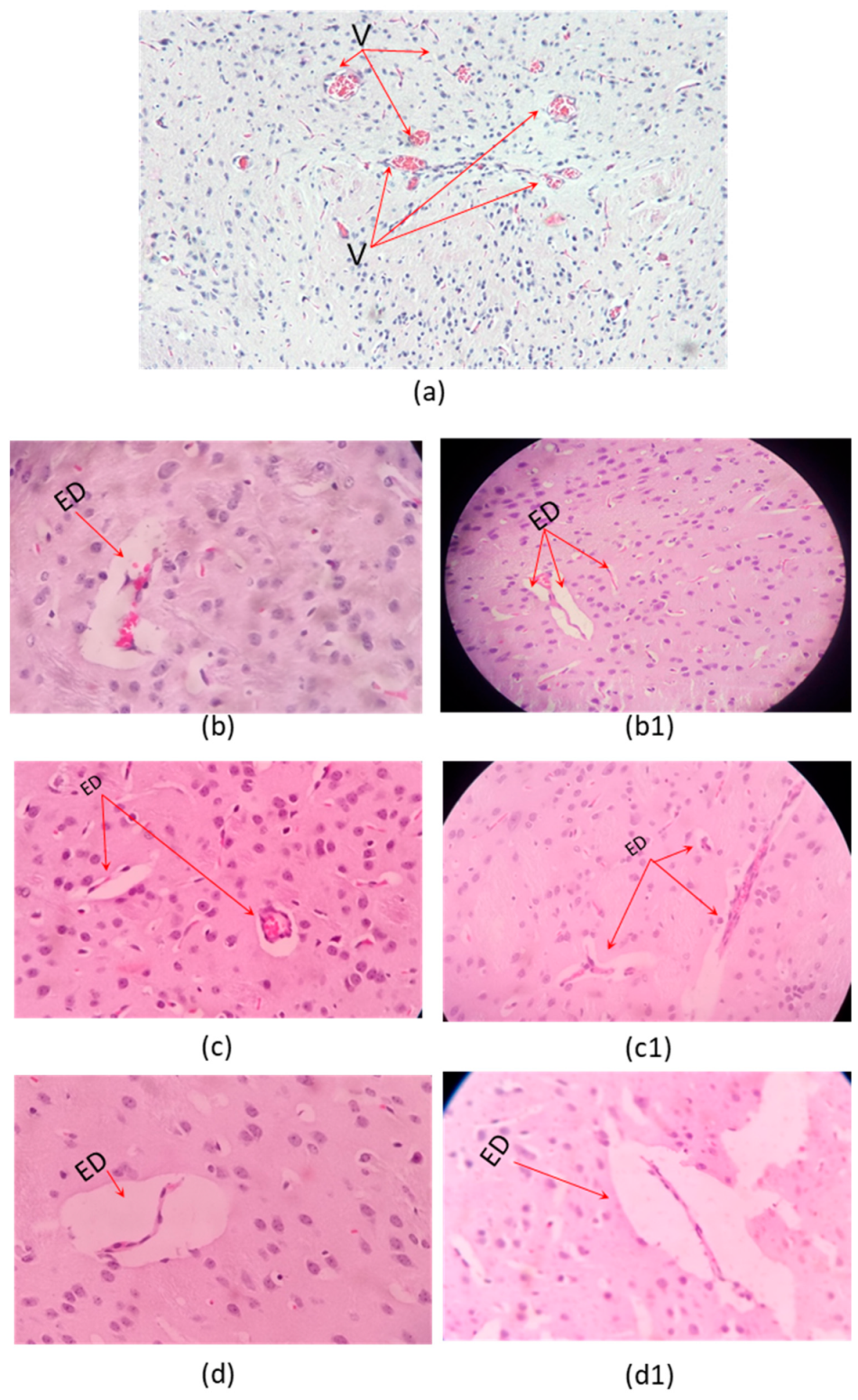 Toxins 13 00757 g002