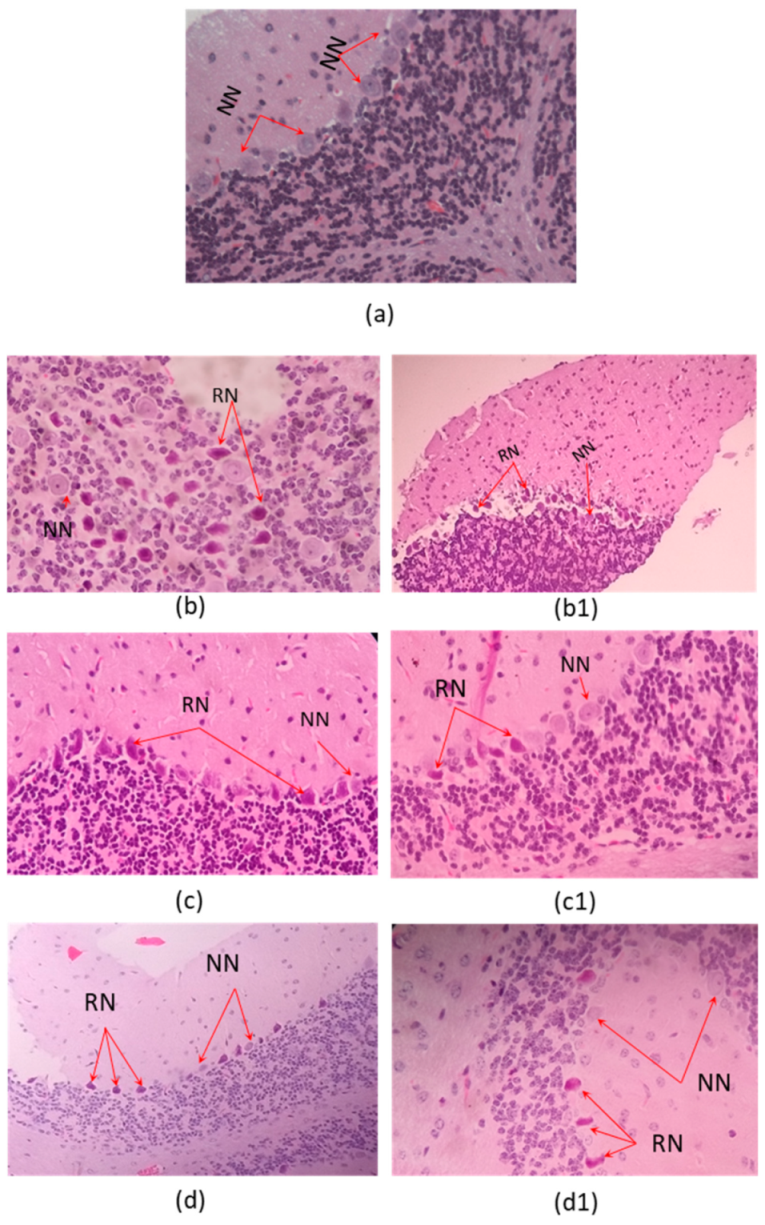 Toxins 13 00757 g003