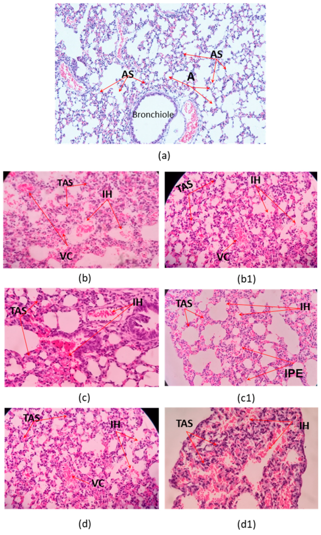 Toxins 13 00757 g004
