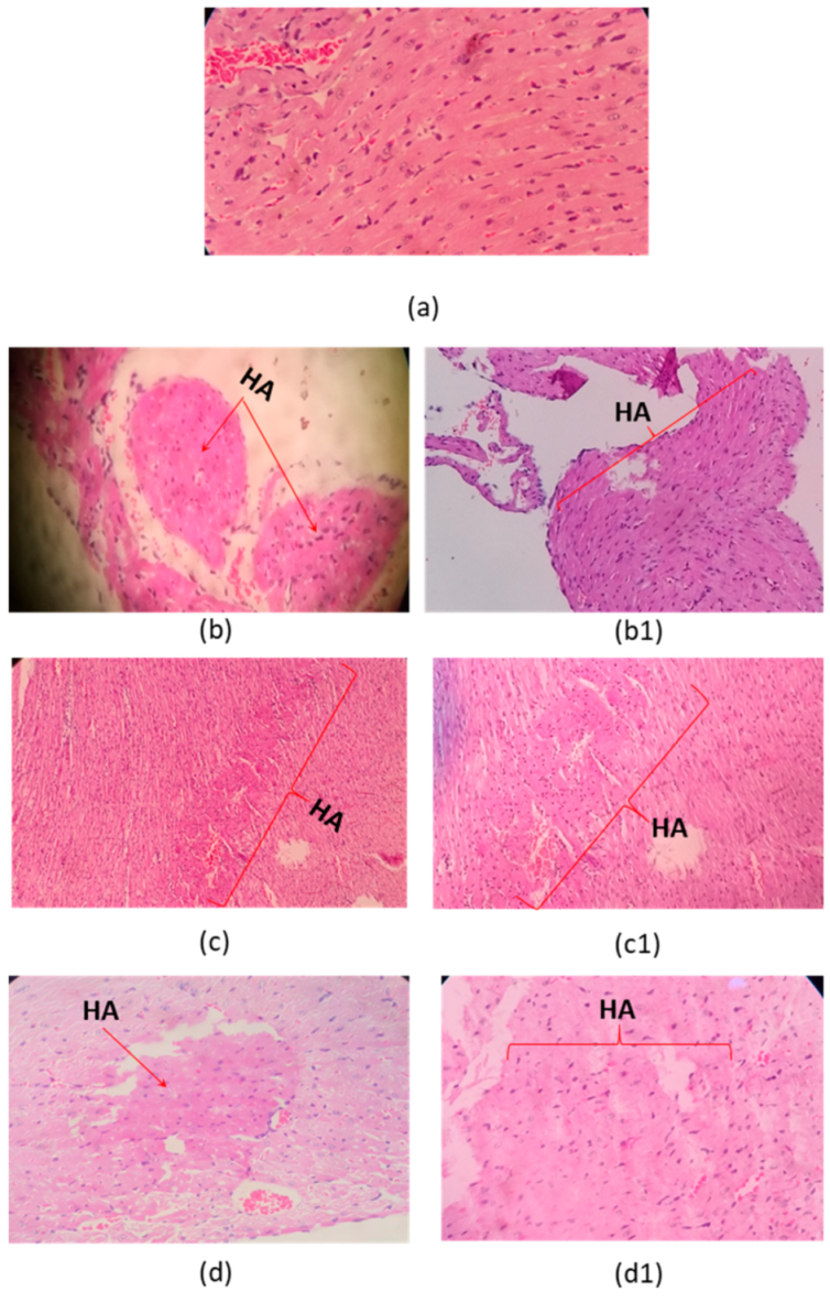 Toxins 13 00757 g005