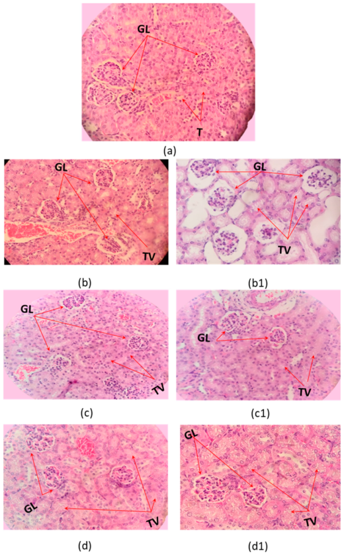 Toxins 13 00757 g006