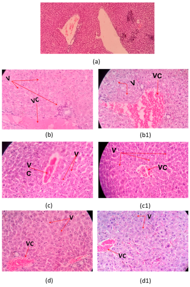 Toxins 13 00757 g007