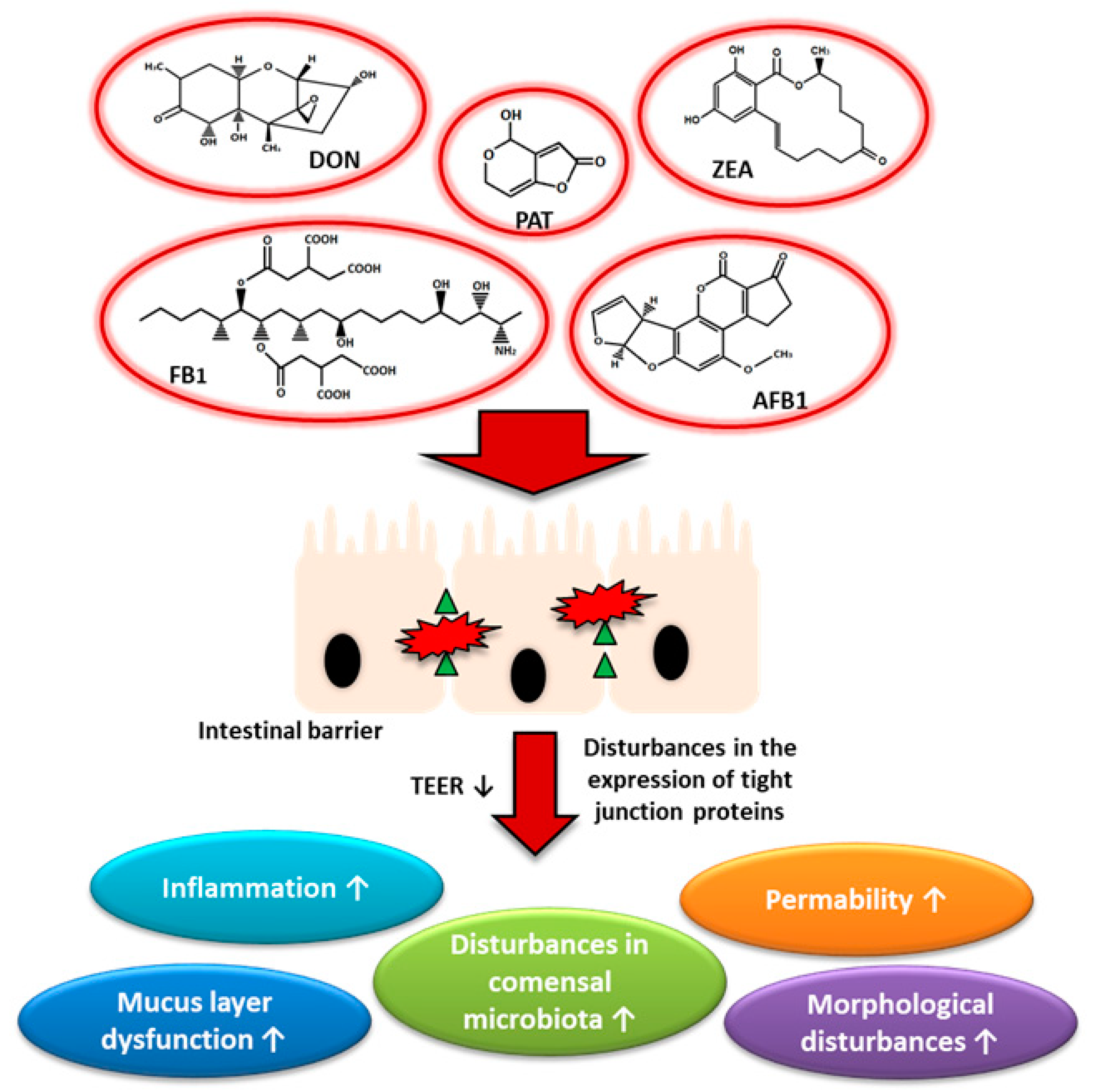 Toxins 13 00758 g003