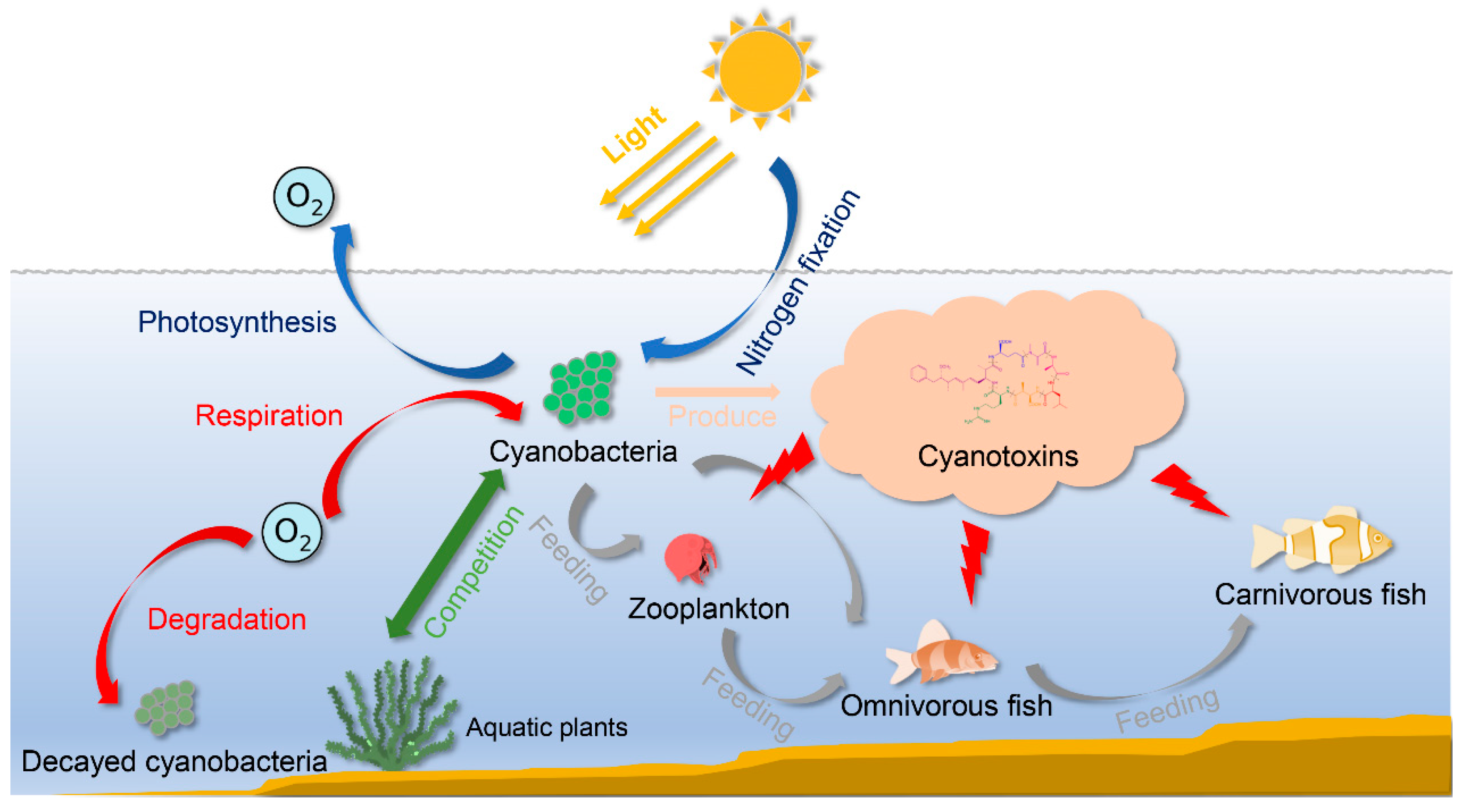 Toxins 13 00765 g001