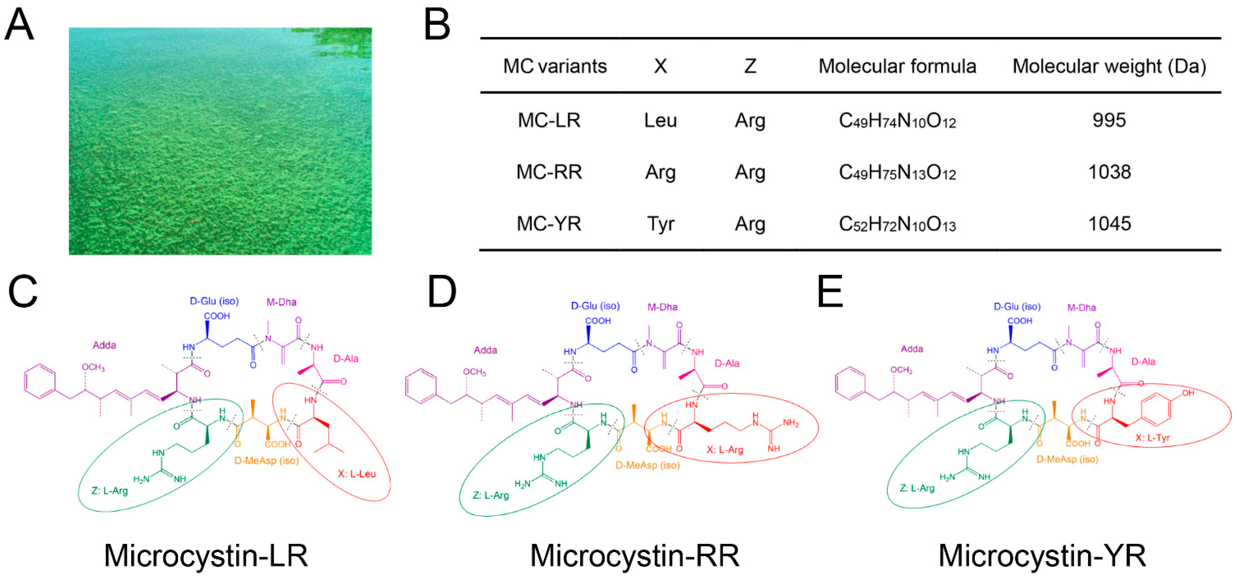 Toxins 13 00765 g002