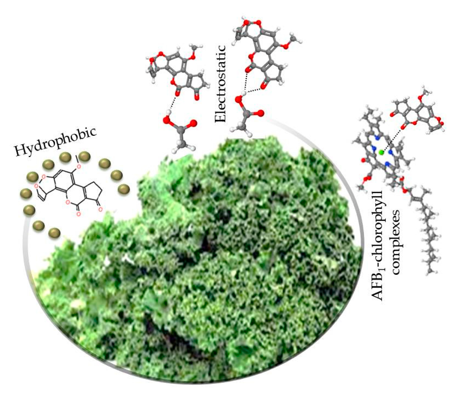 Toxins 13 00771 g007 Toxins 13 00771 g007