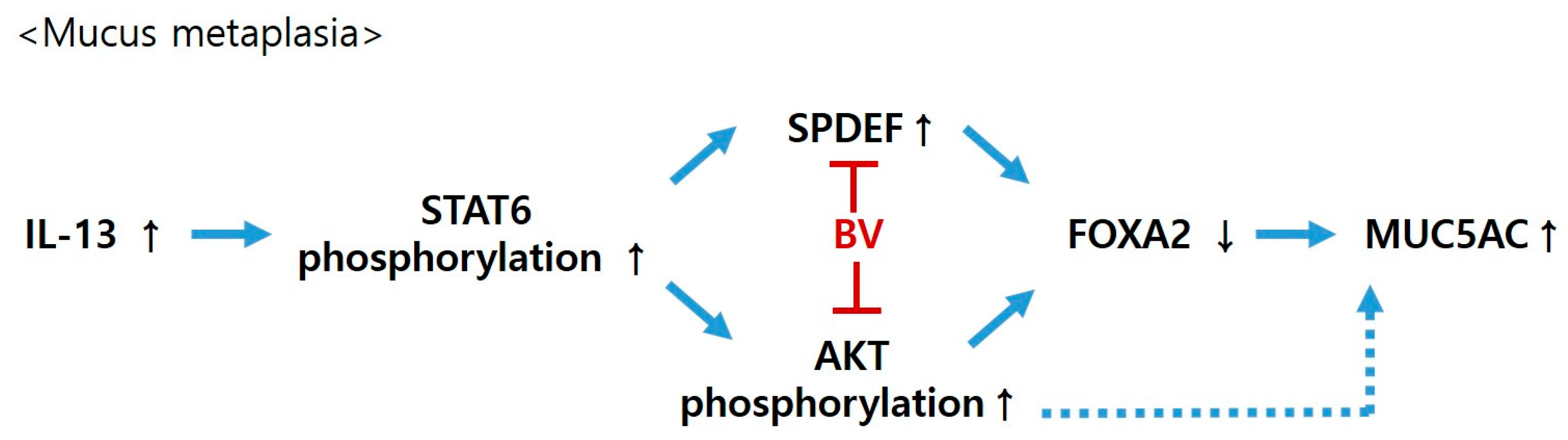 Toxins 13 00773 g006