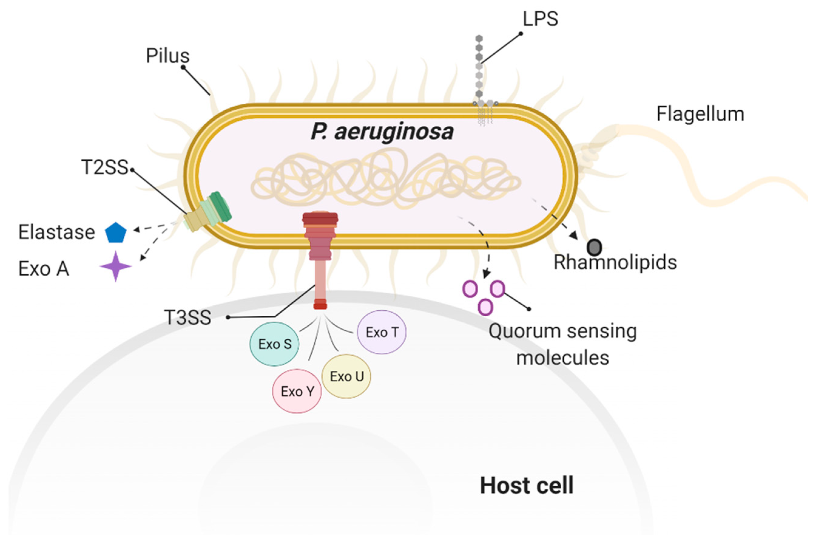 Toxins 13 00776 g003