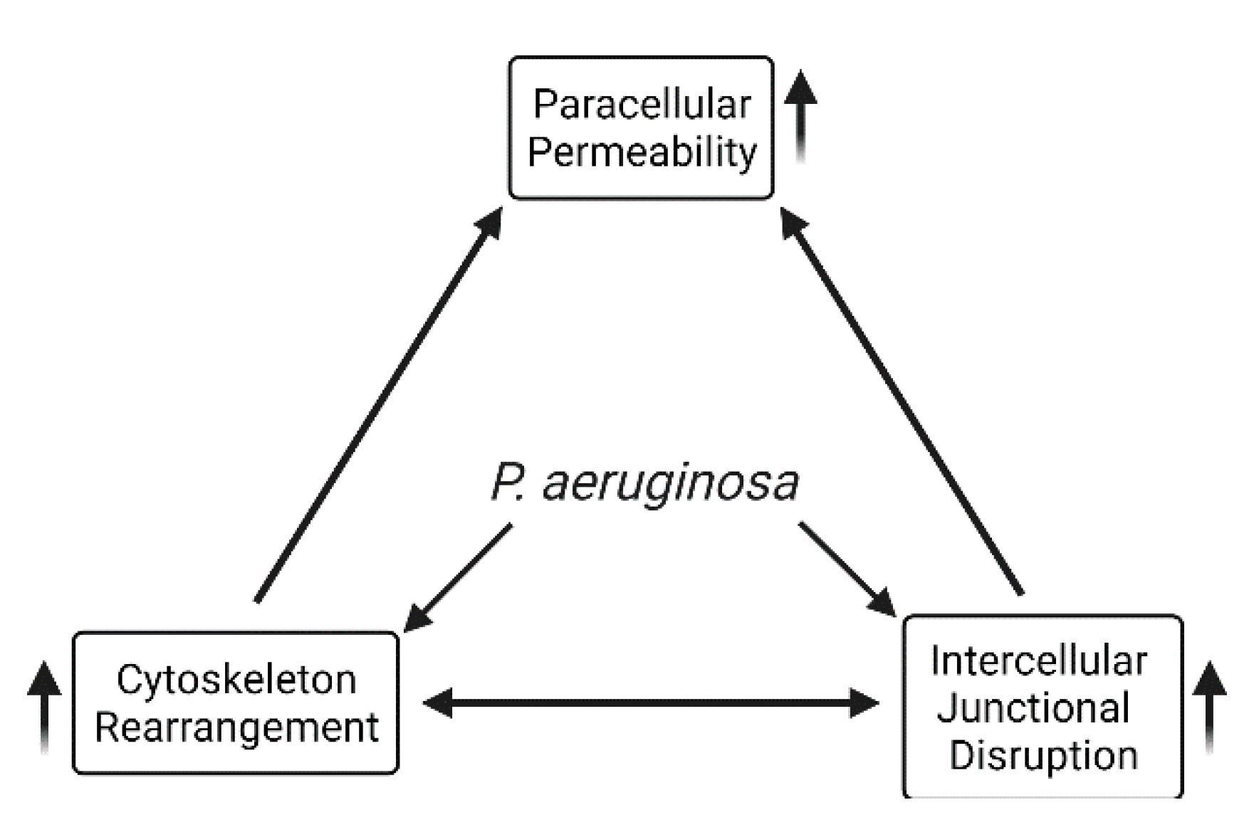 Toxins 13 00776 g004