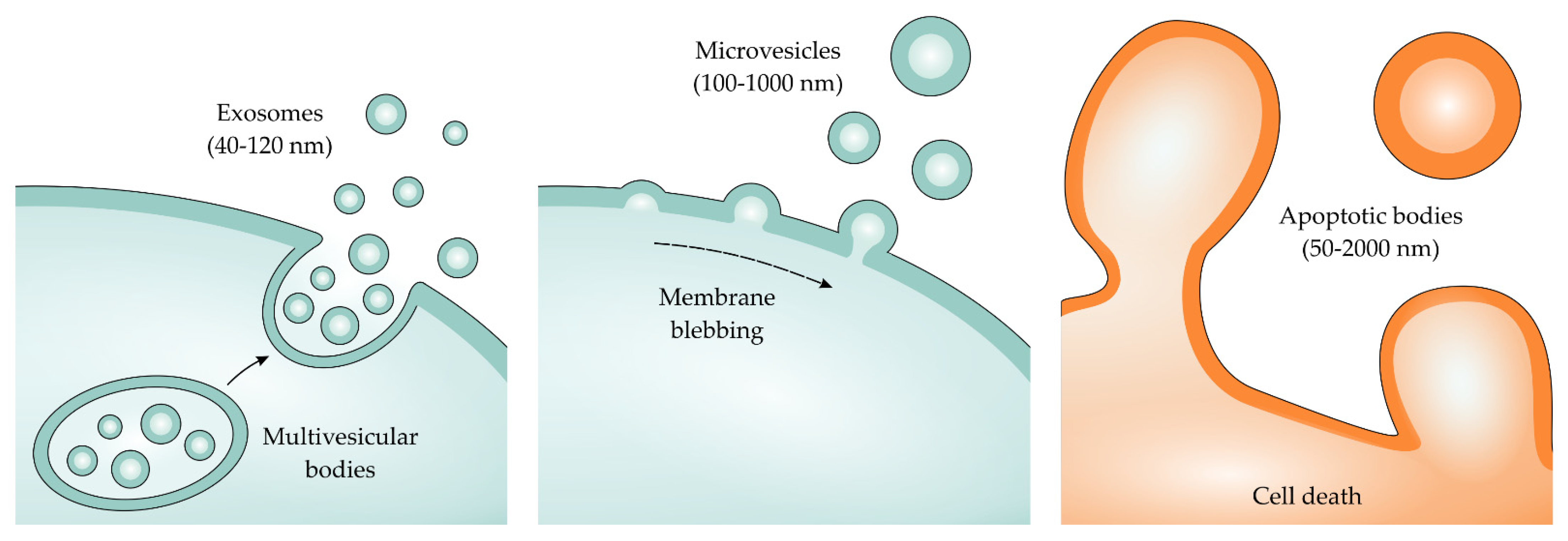 Toxins 13 00778 g003