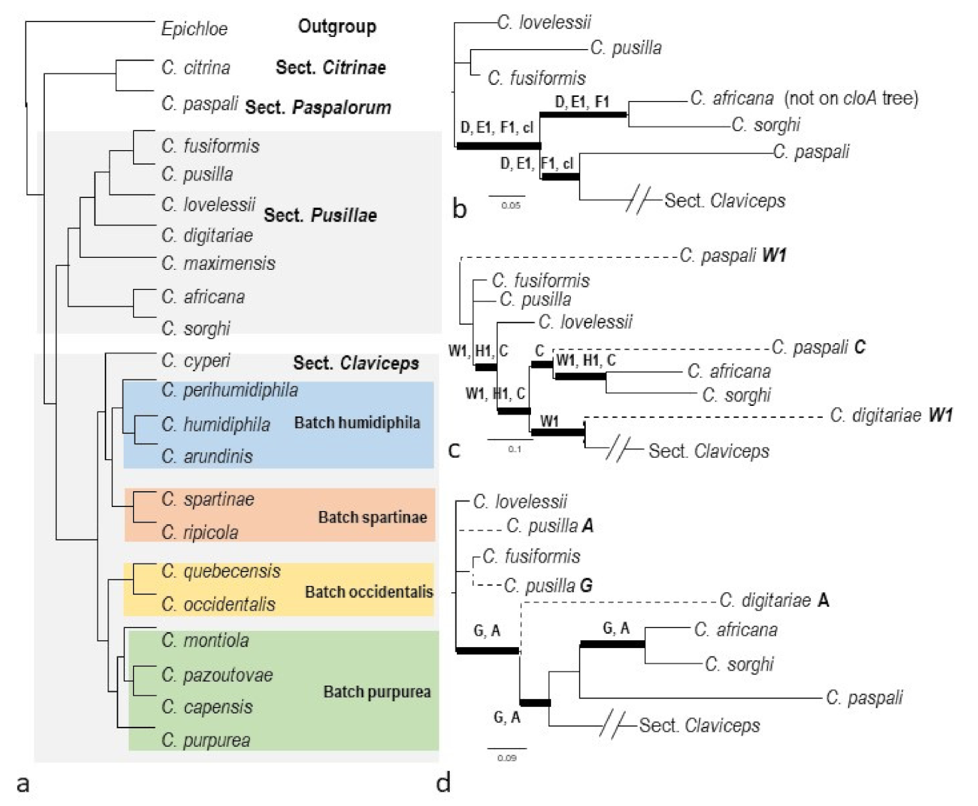 Toxins 13 00799 g003