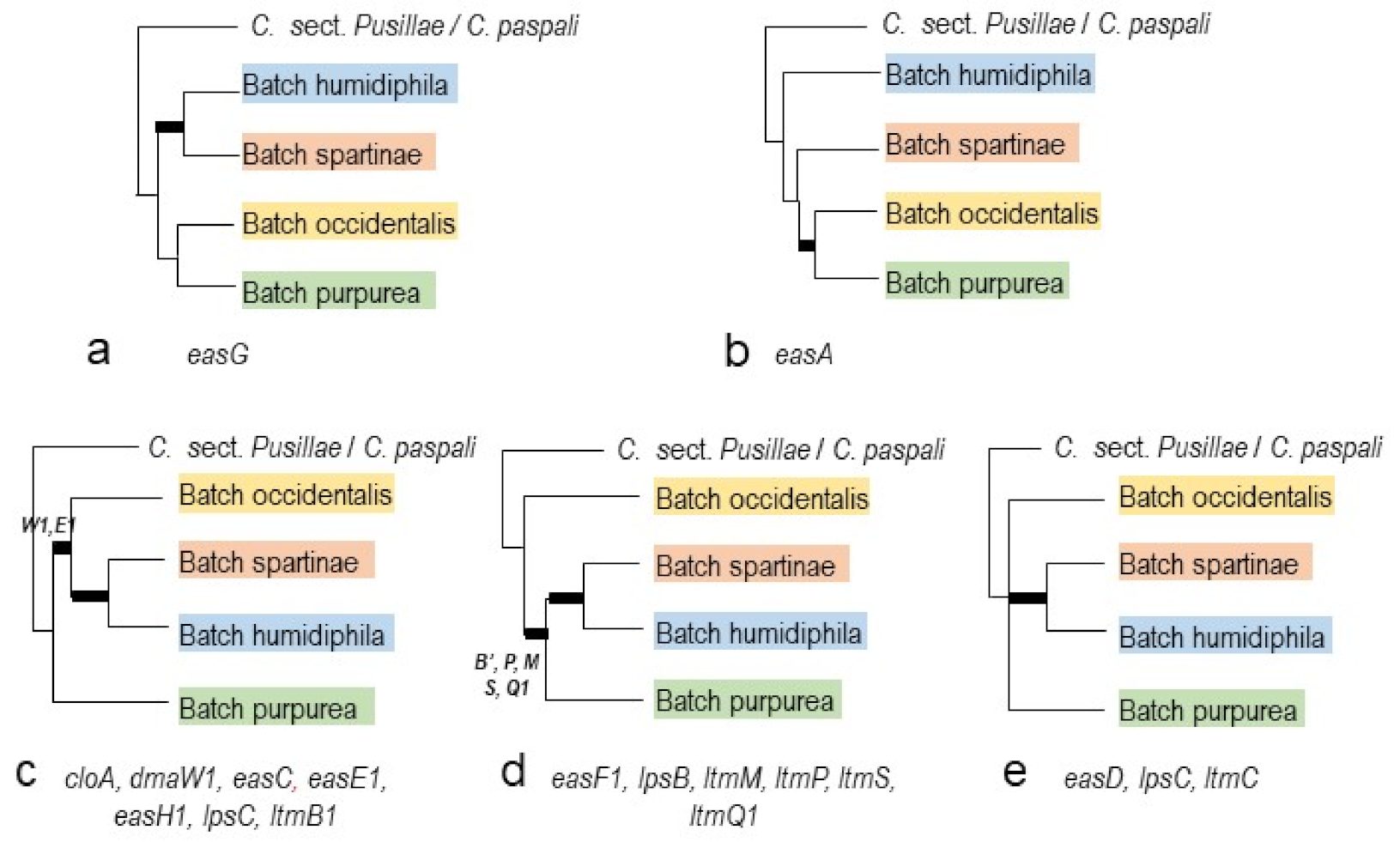 Toxins 13 00799 g004