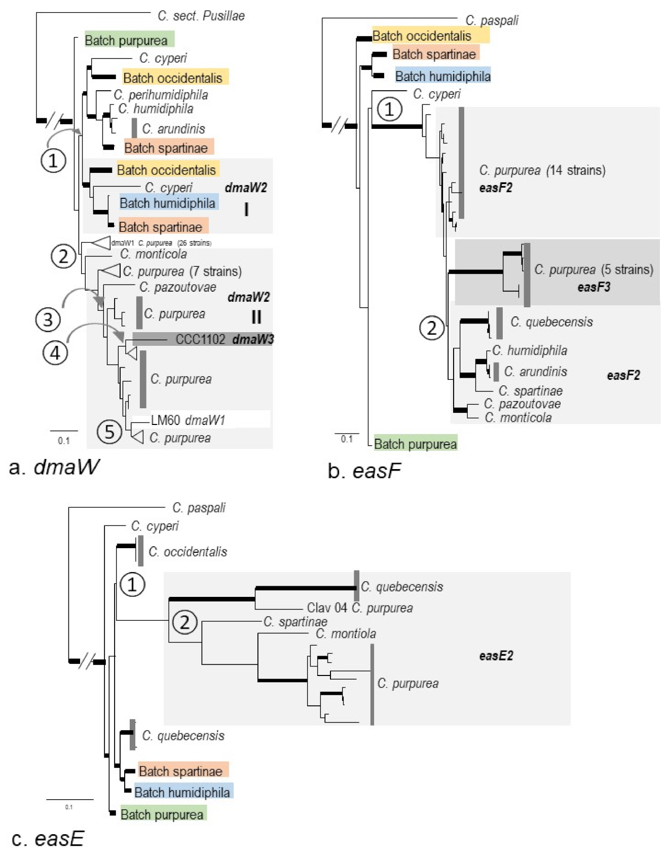 Toxins 13 00799 g005a