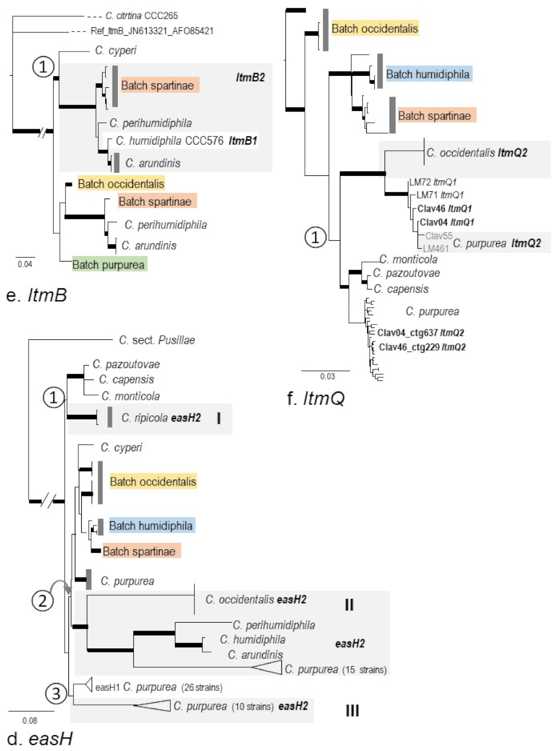 Toxins 13 00799 g005b