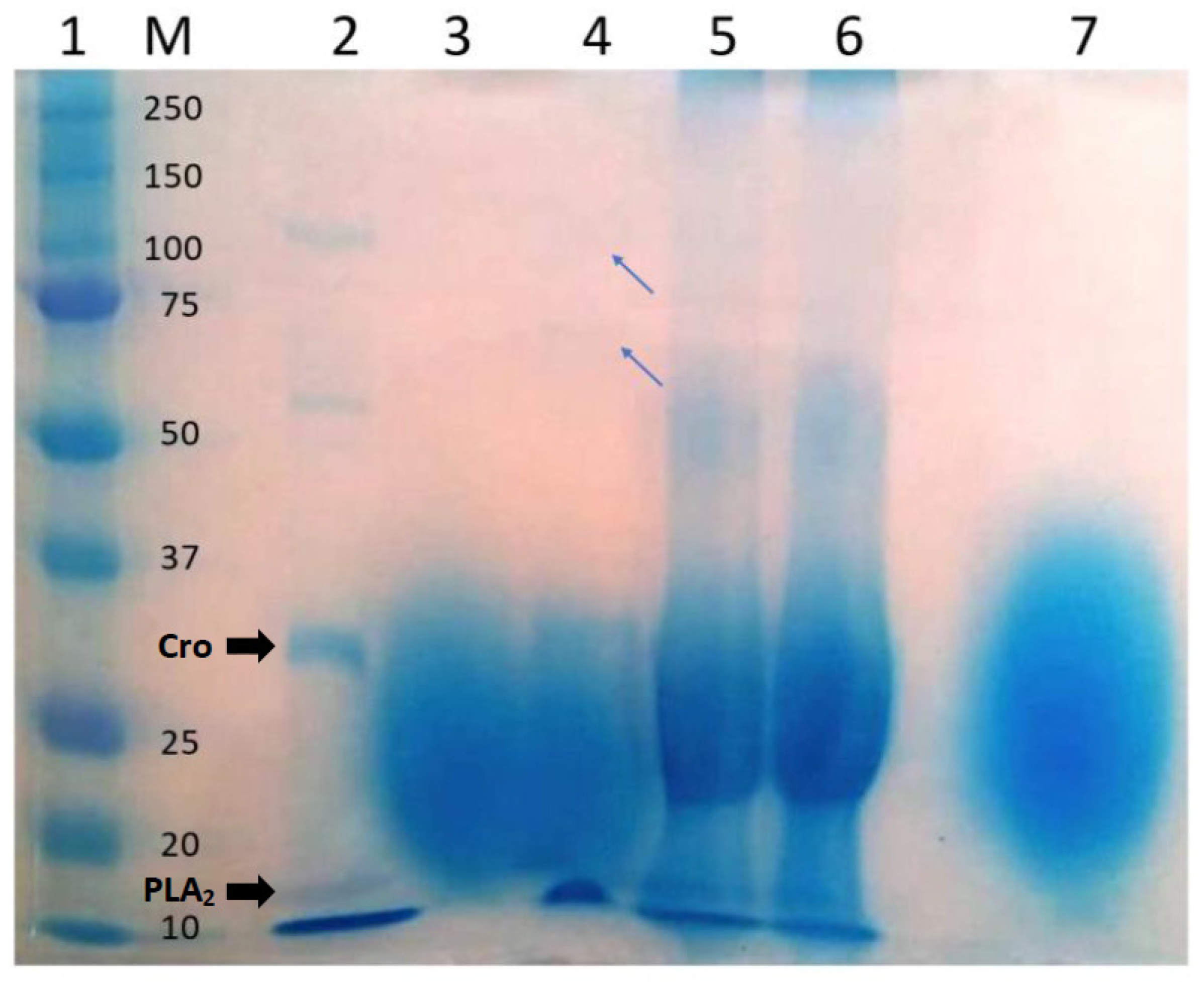 Toxins 13 00801 g003 Toxins 13 00801 g003