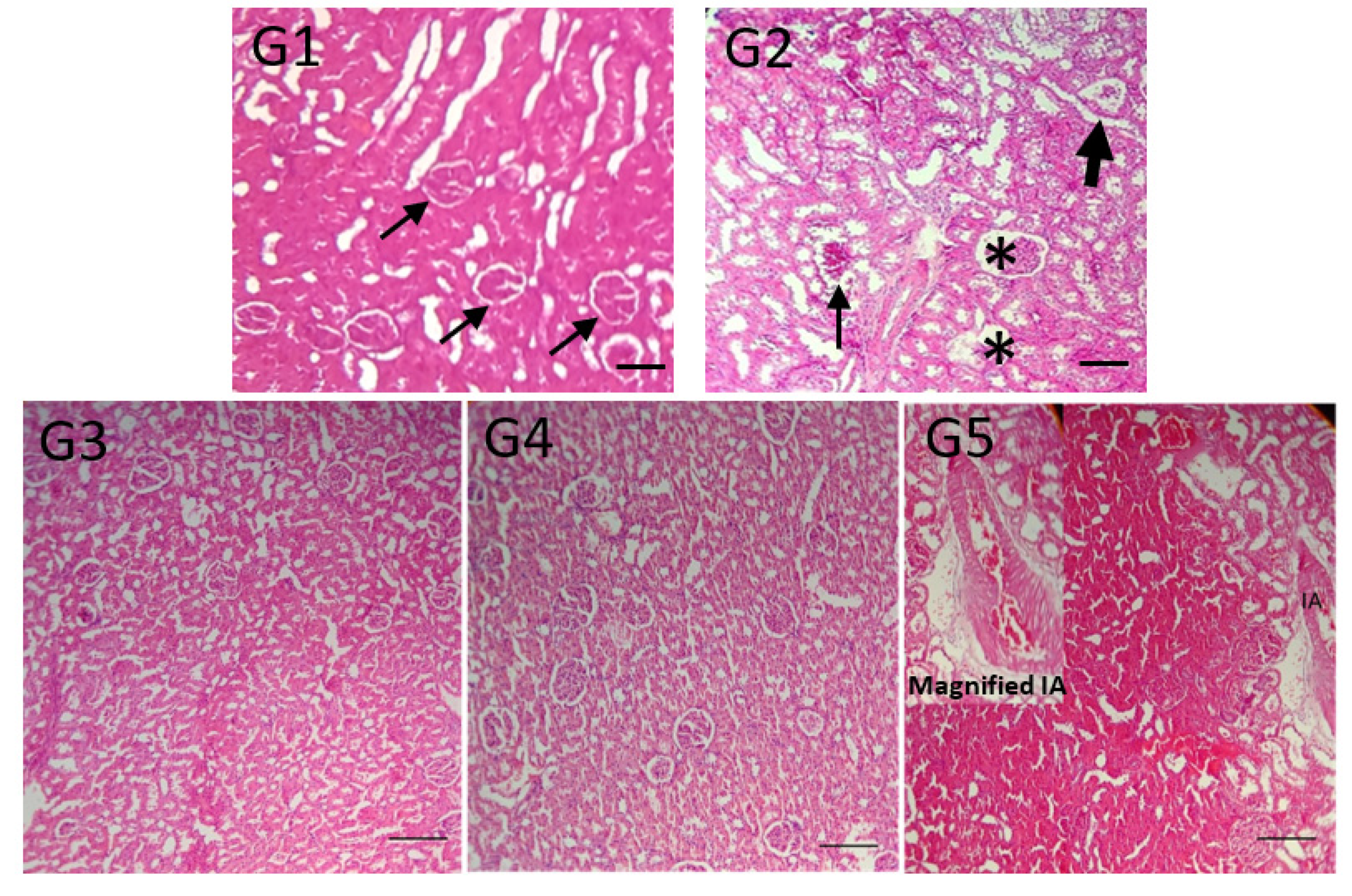 Toxins 13 00801 g005 Toxins 13 00801 g005