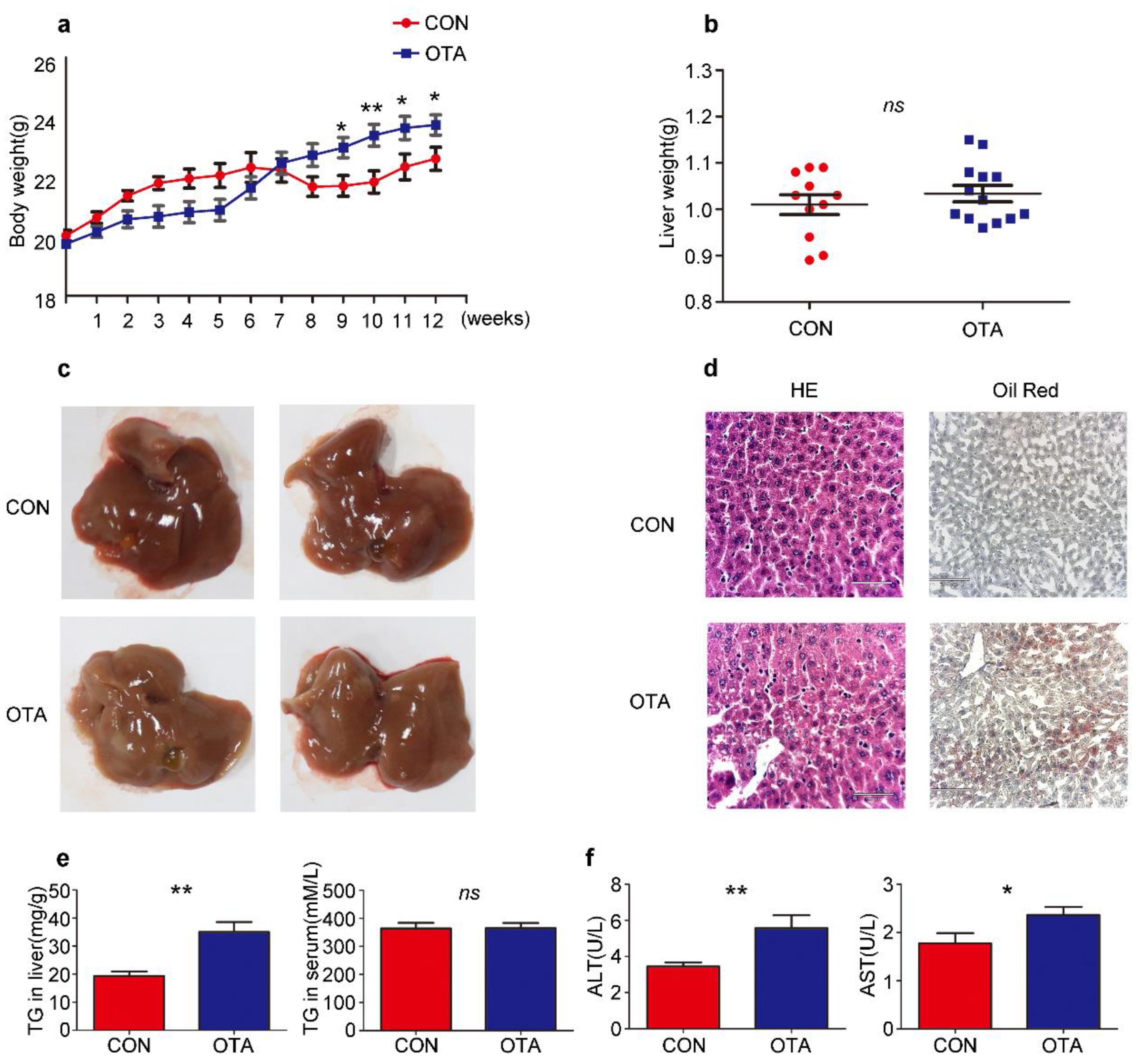 Toxins 13 00802 g003