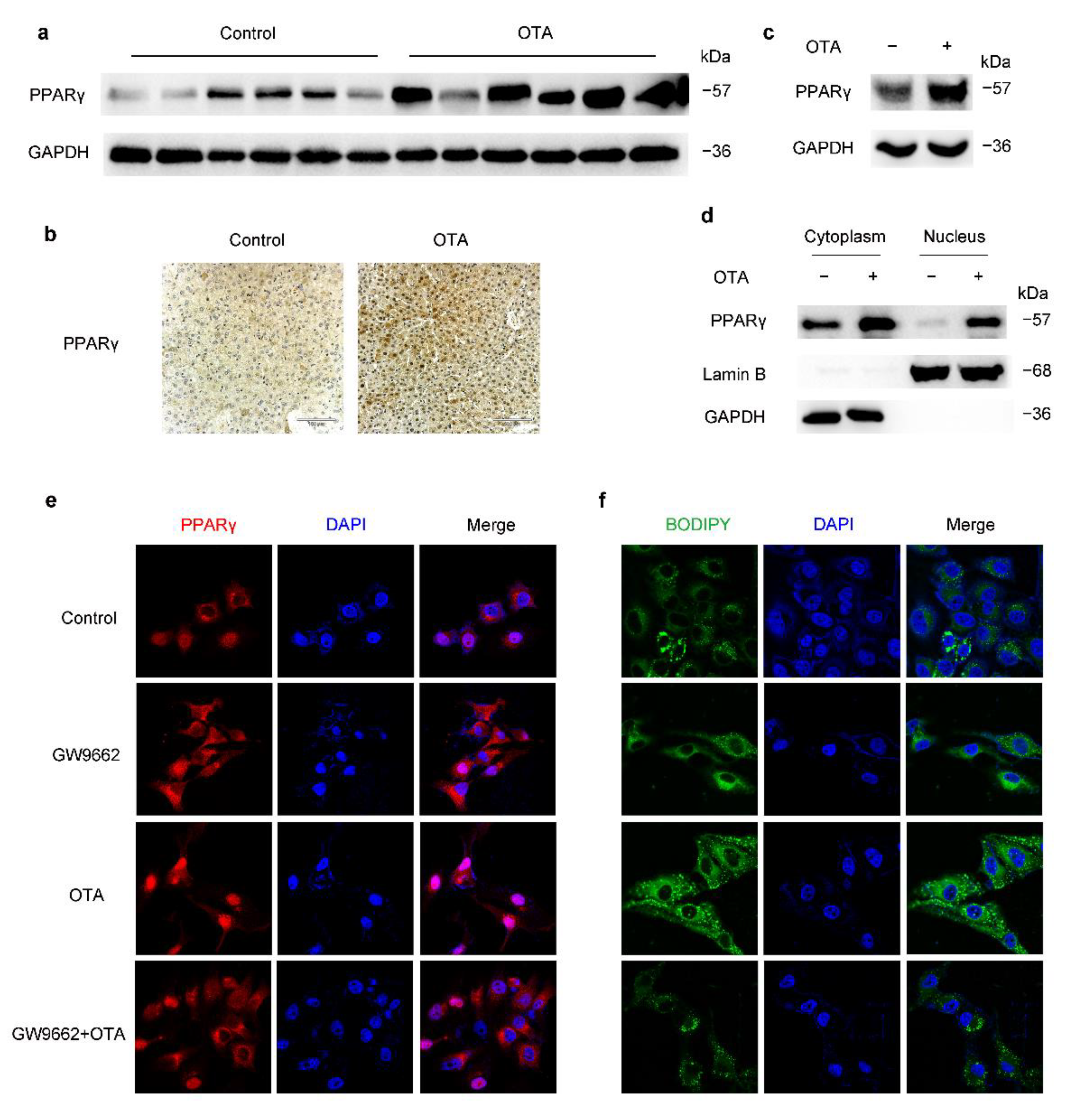 Toxins 13 00802 g005