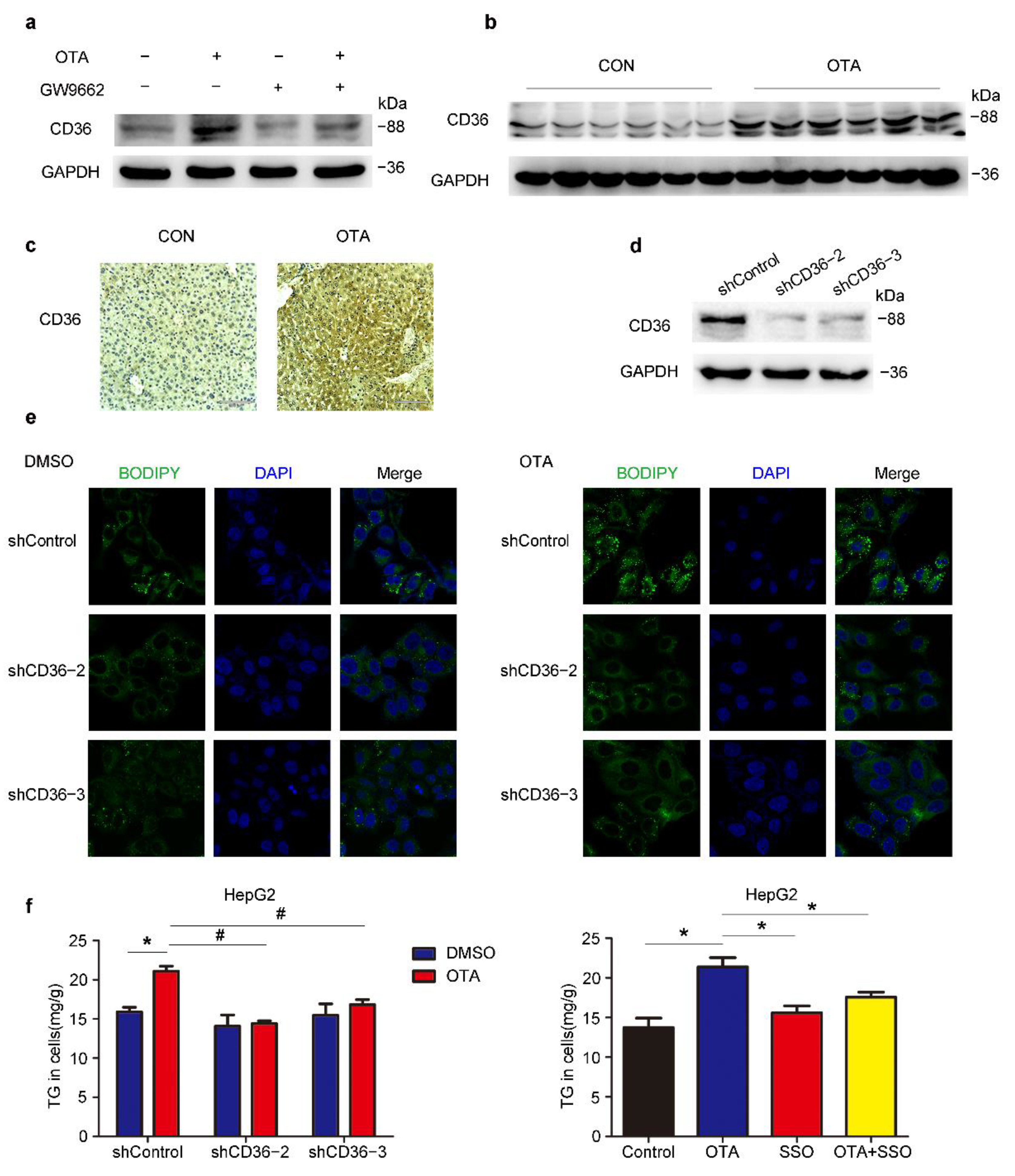 Toxins 13 00802 g007