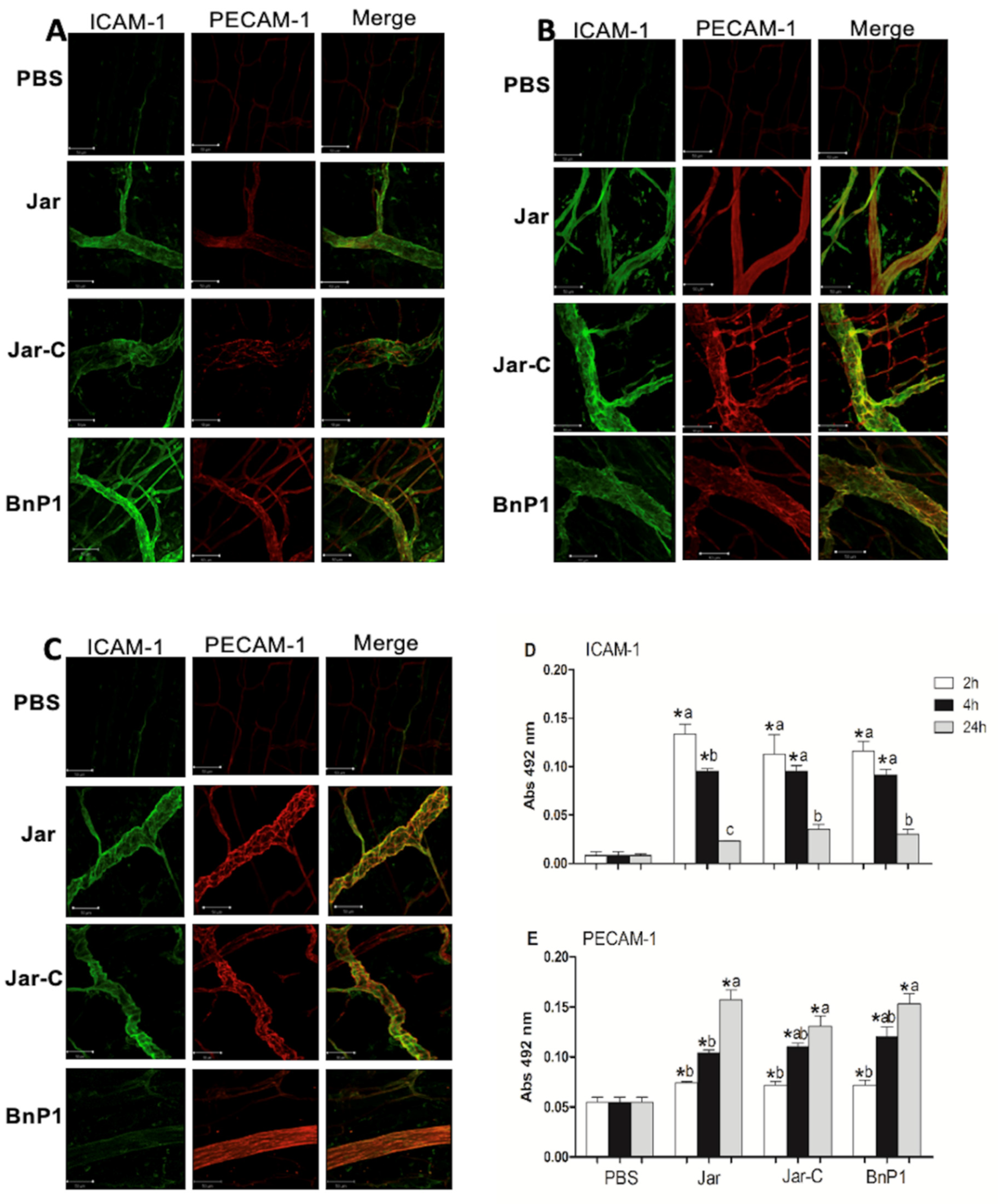 Toxins 13 00803 g001