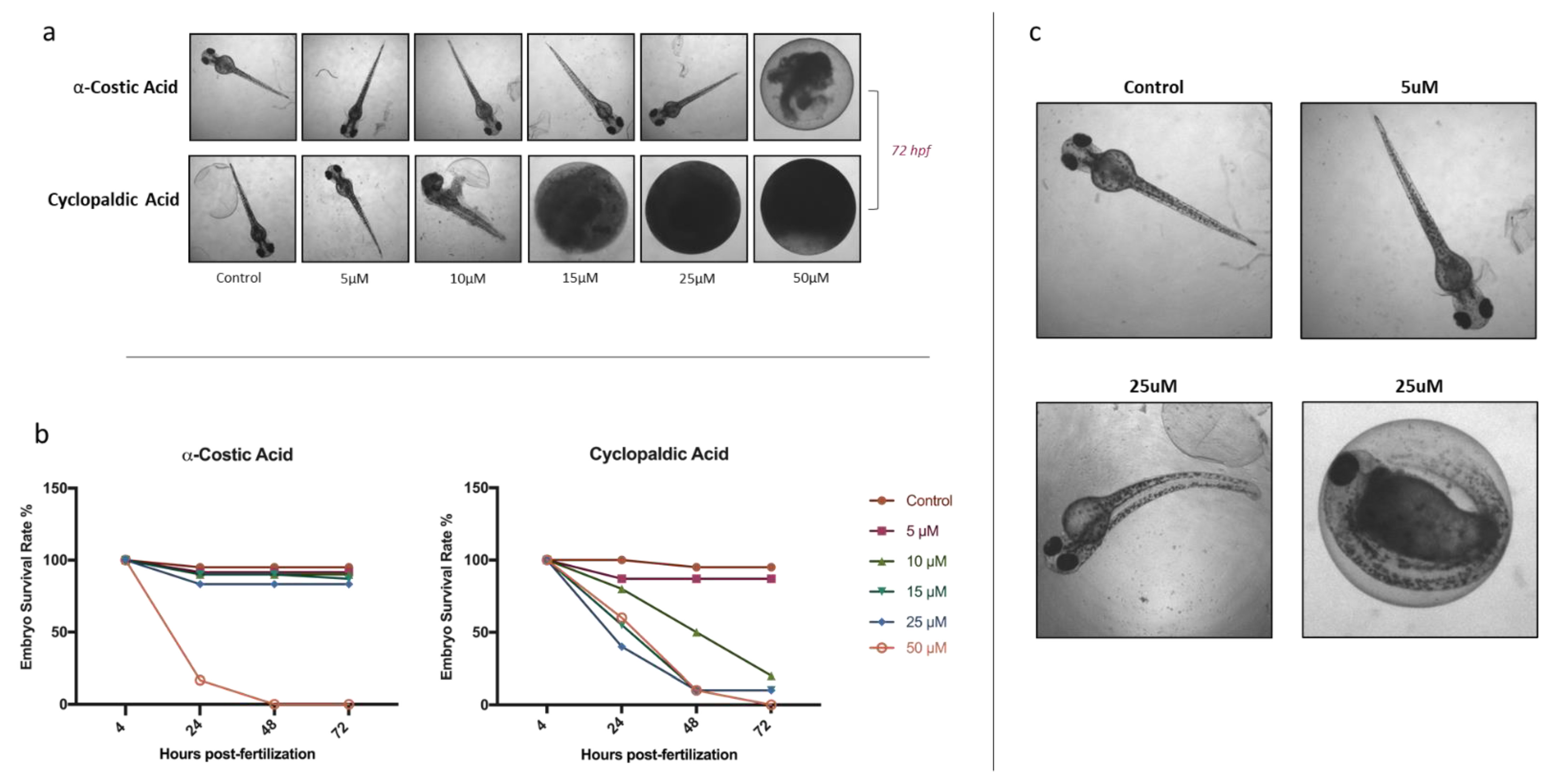 Toxins 13 00805 g002
