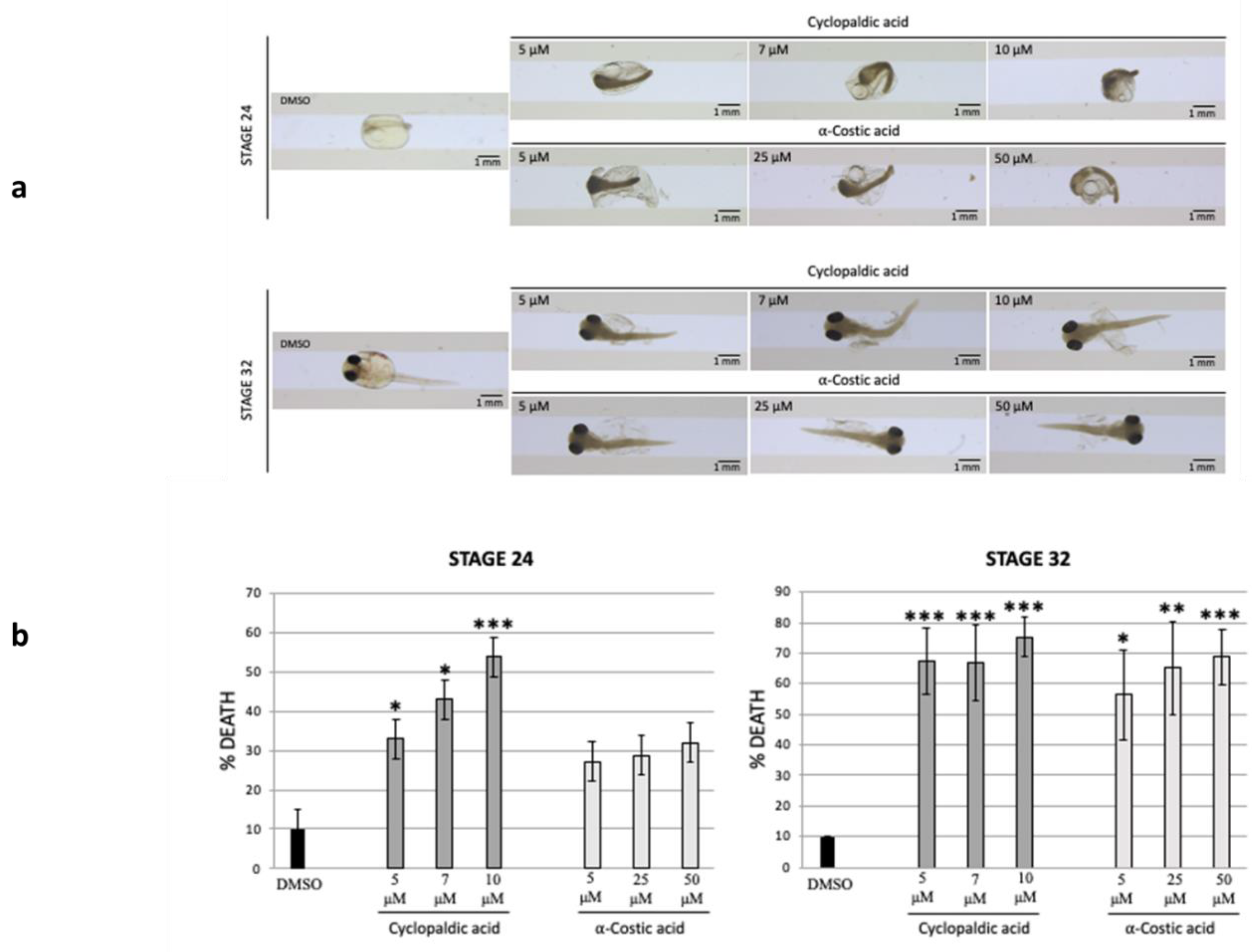 Toxins 13 00805 g005