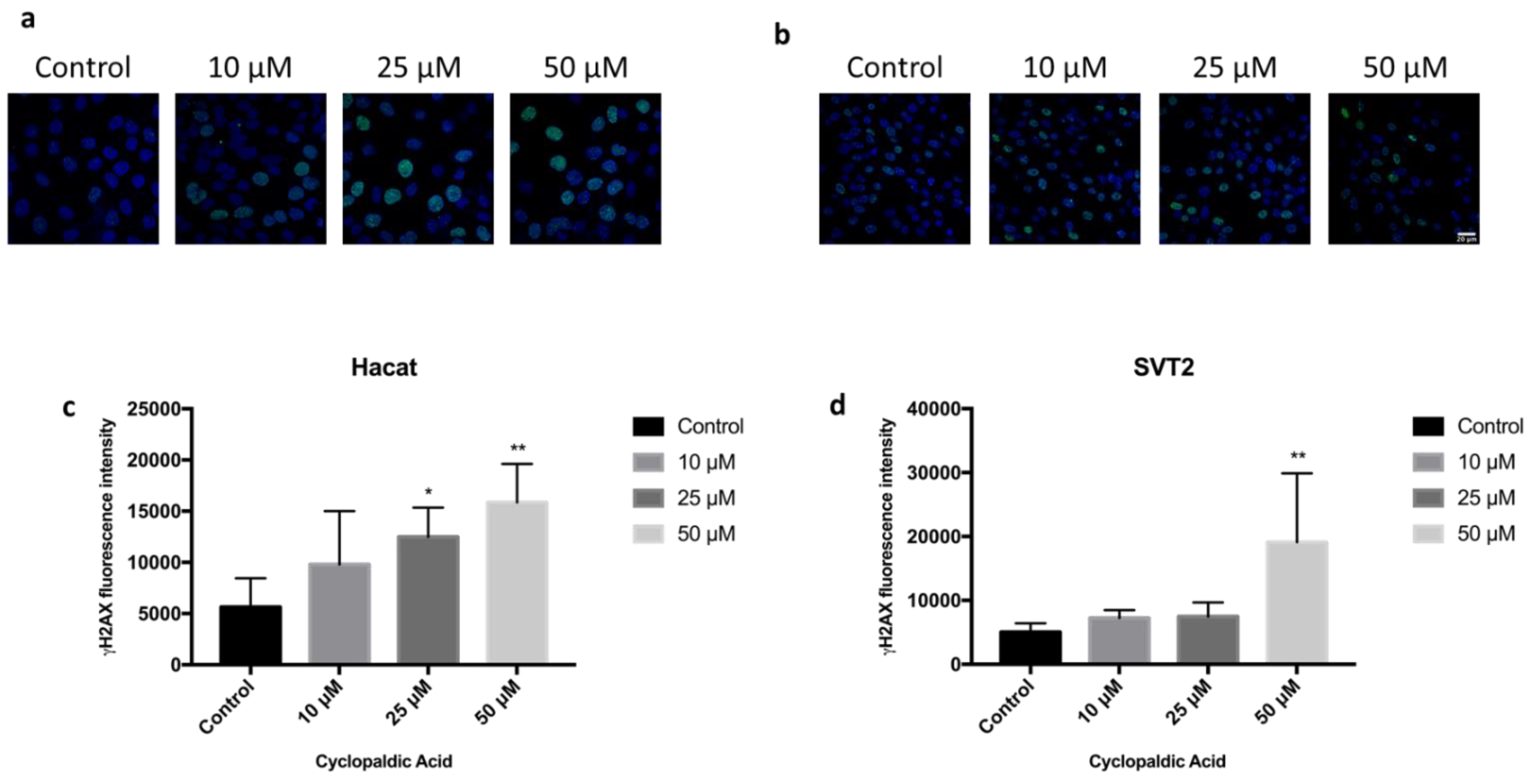 Toxins 13 00805 g008