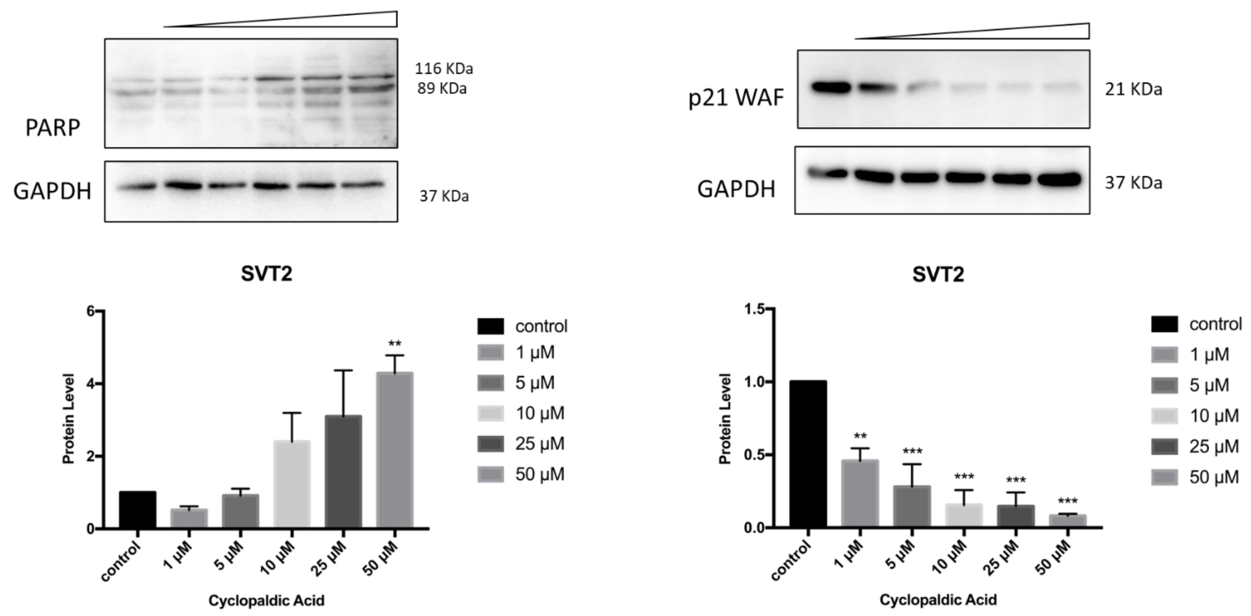Toxins 13 00805 g010