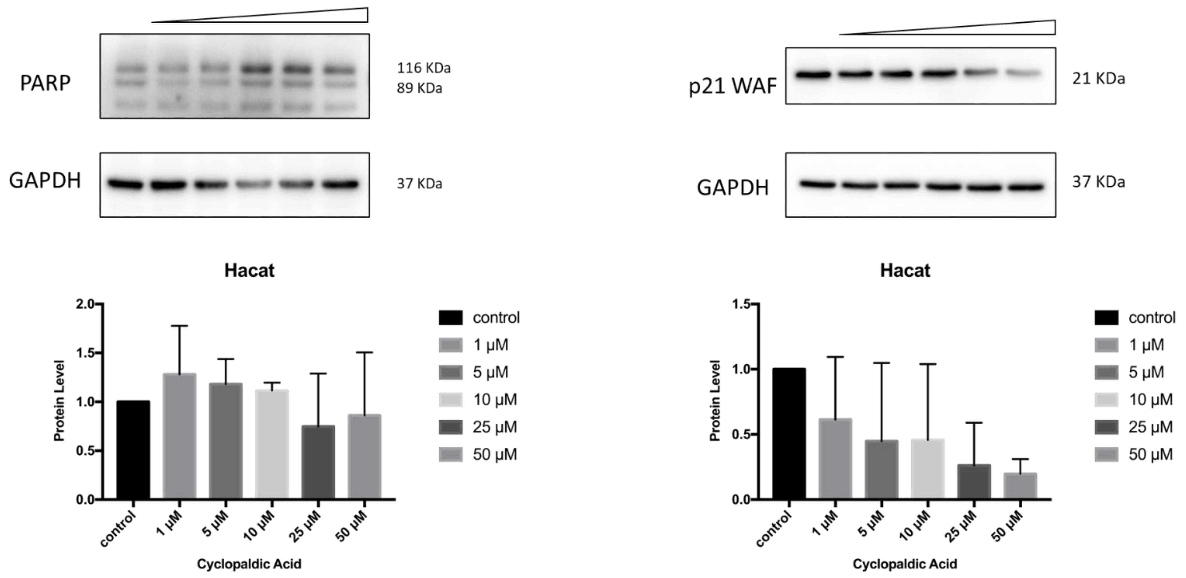Toxins 13 00805 g011